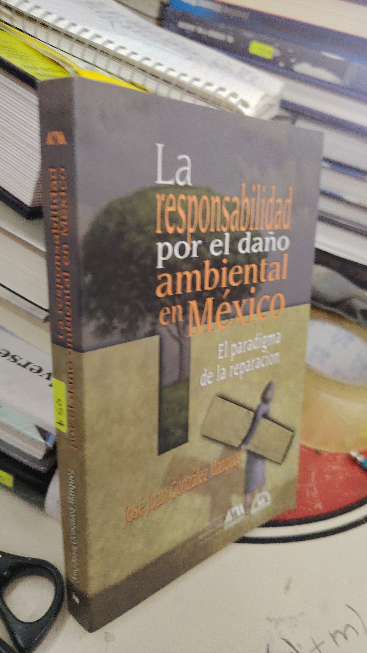 LA RESPONSABILIDAD POR EL DAÑO AMBIENTAL EN MEXICO USADO POLÍTICA LITERARIO 207