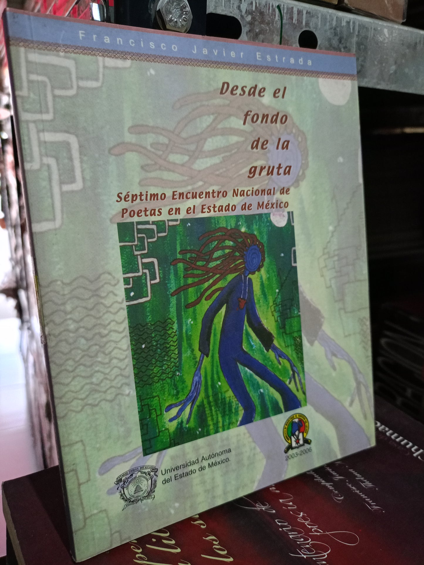 DESDE EL FONDO DE LA GRUTA FRANCISCO JAVIER ESTRADA USADO POESIA LITERARIO #305