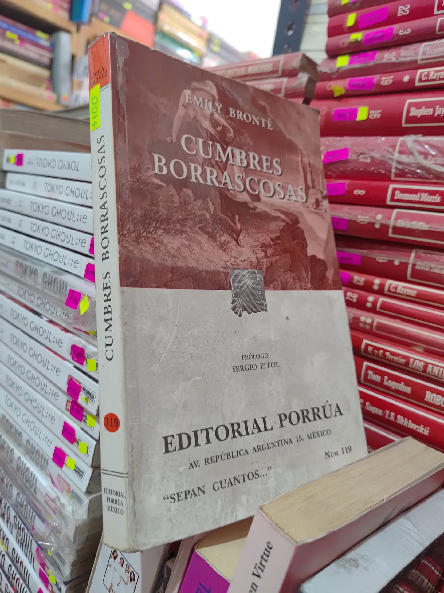 CUMBRES BORRASCOSAS POR EMILY BRONTE USADO NOVELAS LITERARIO 305