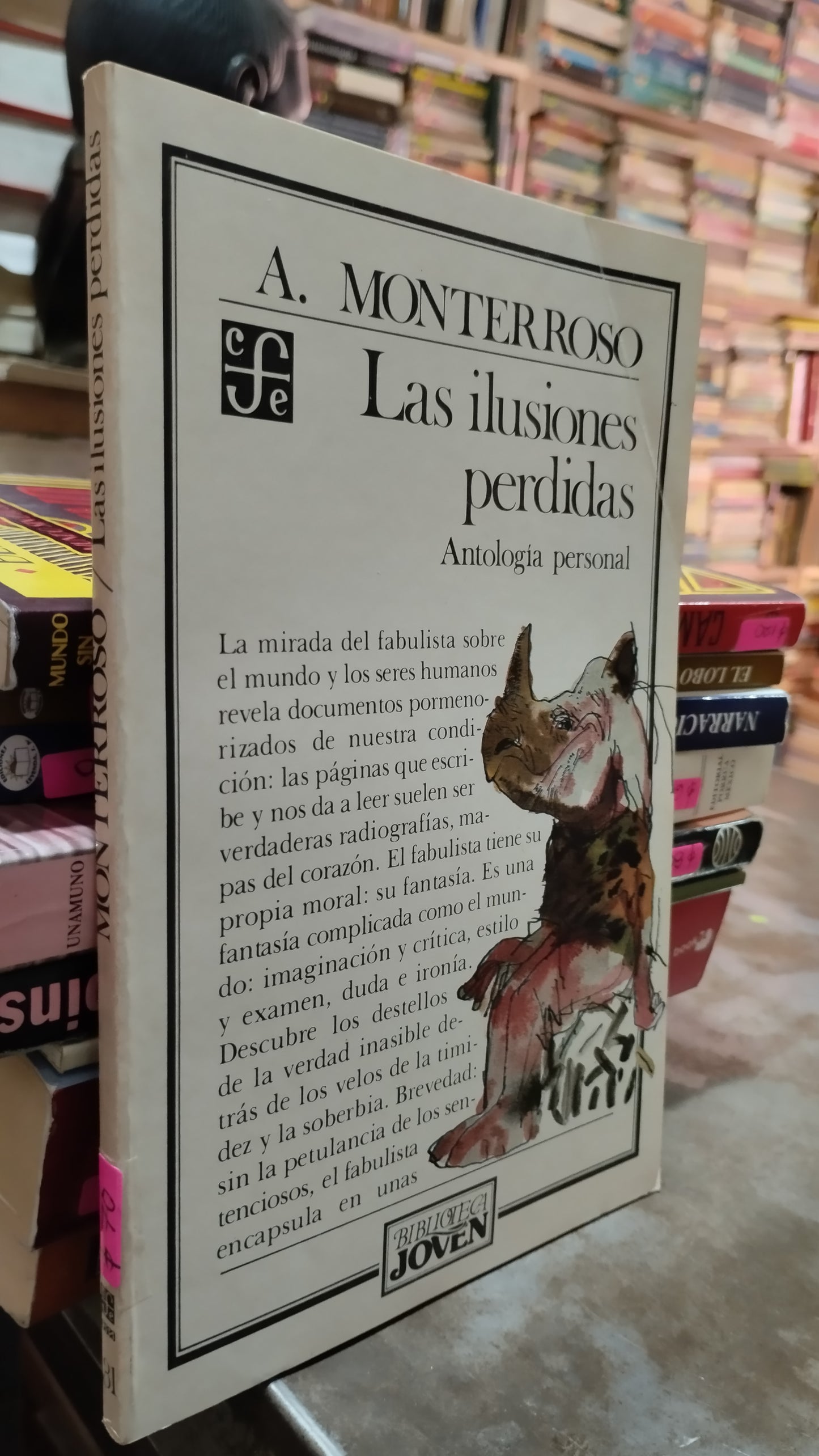 LAS ILUSIONES PERDIDAS POR A MONTERROSO LIBRO USADO NOVELAS ALDAMA