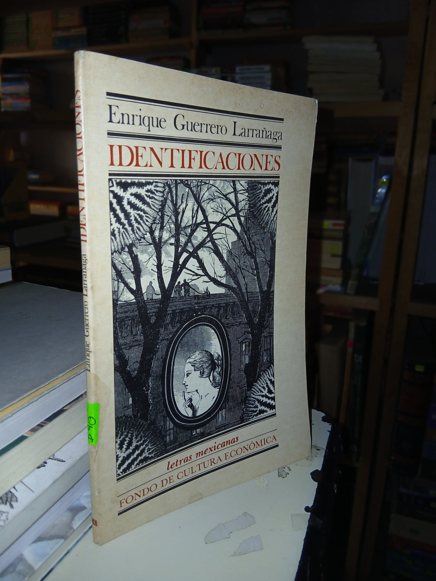 IDENTIFICACIONES POR ENRIQUE GUERRERO LARRAÑAGA USADO POESÍA LITERARIO 207