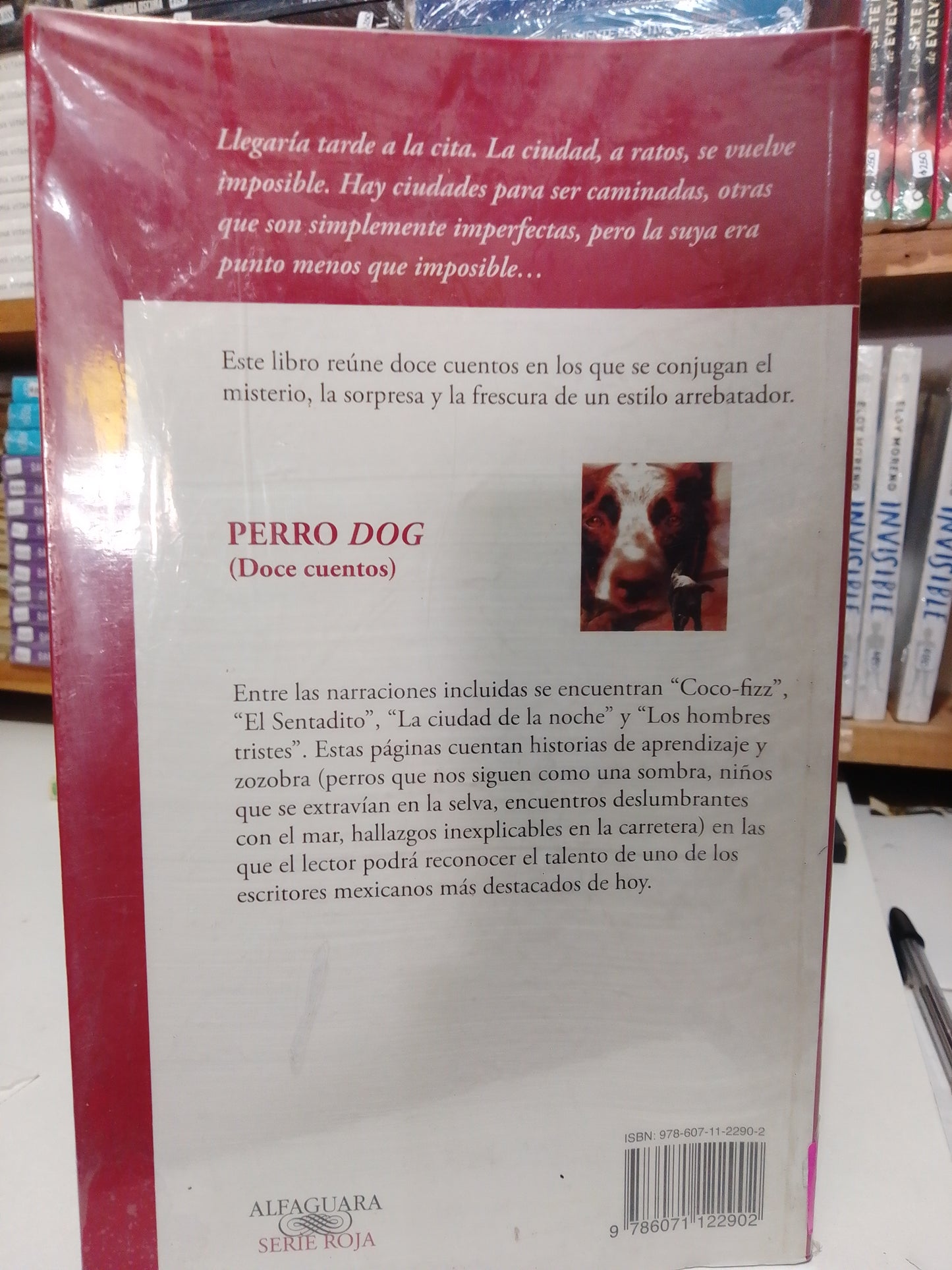 PERRO DOG POR DAVID MARTÍN DEL CAMPO USADO NOVELAS JUAREZ