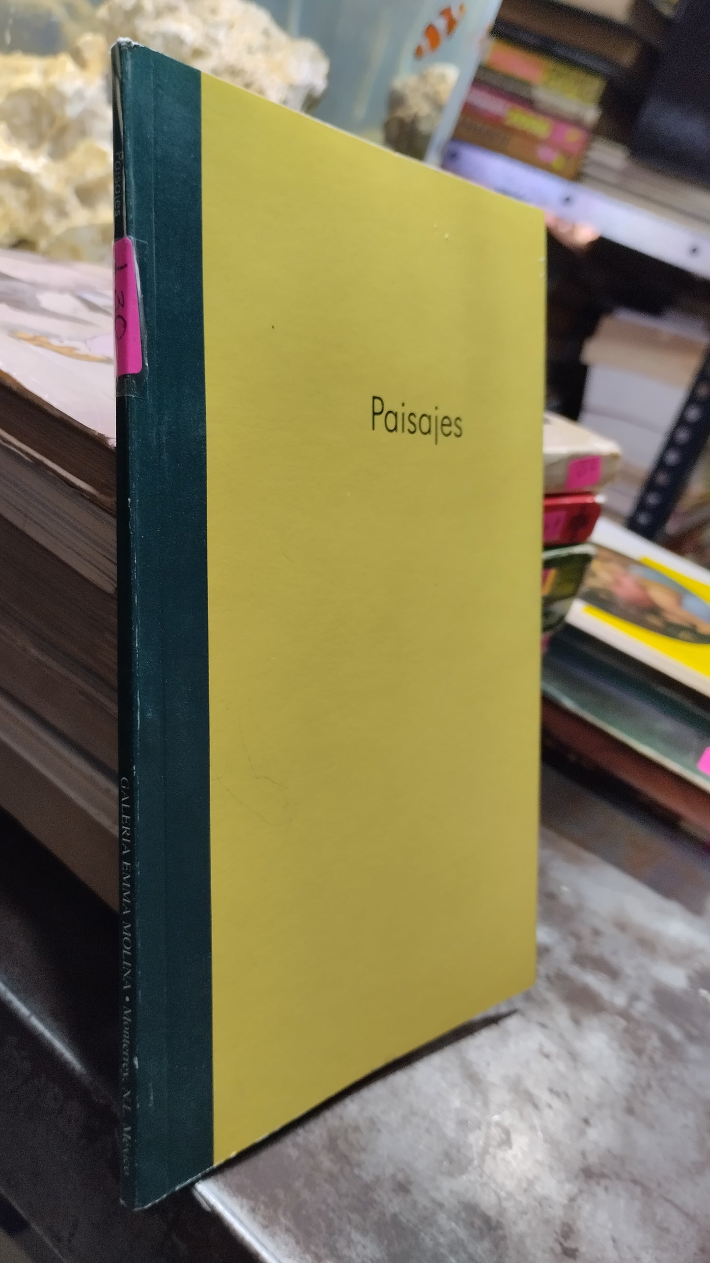 PAISAJES LIBRO USADO ARTE ALDAMA
