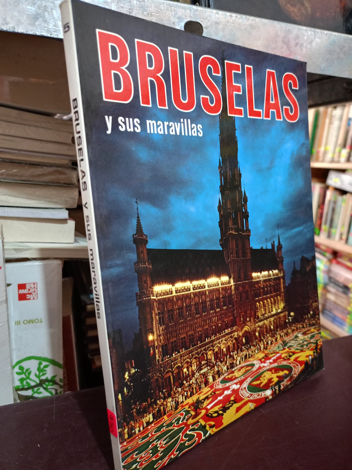 BRUSELAS Y SUS MARAVILLAS USADO ARTE LITERARIO 305