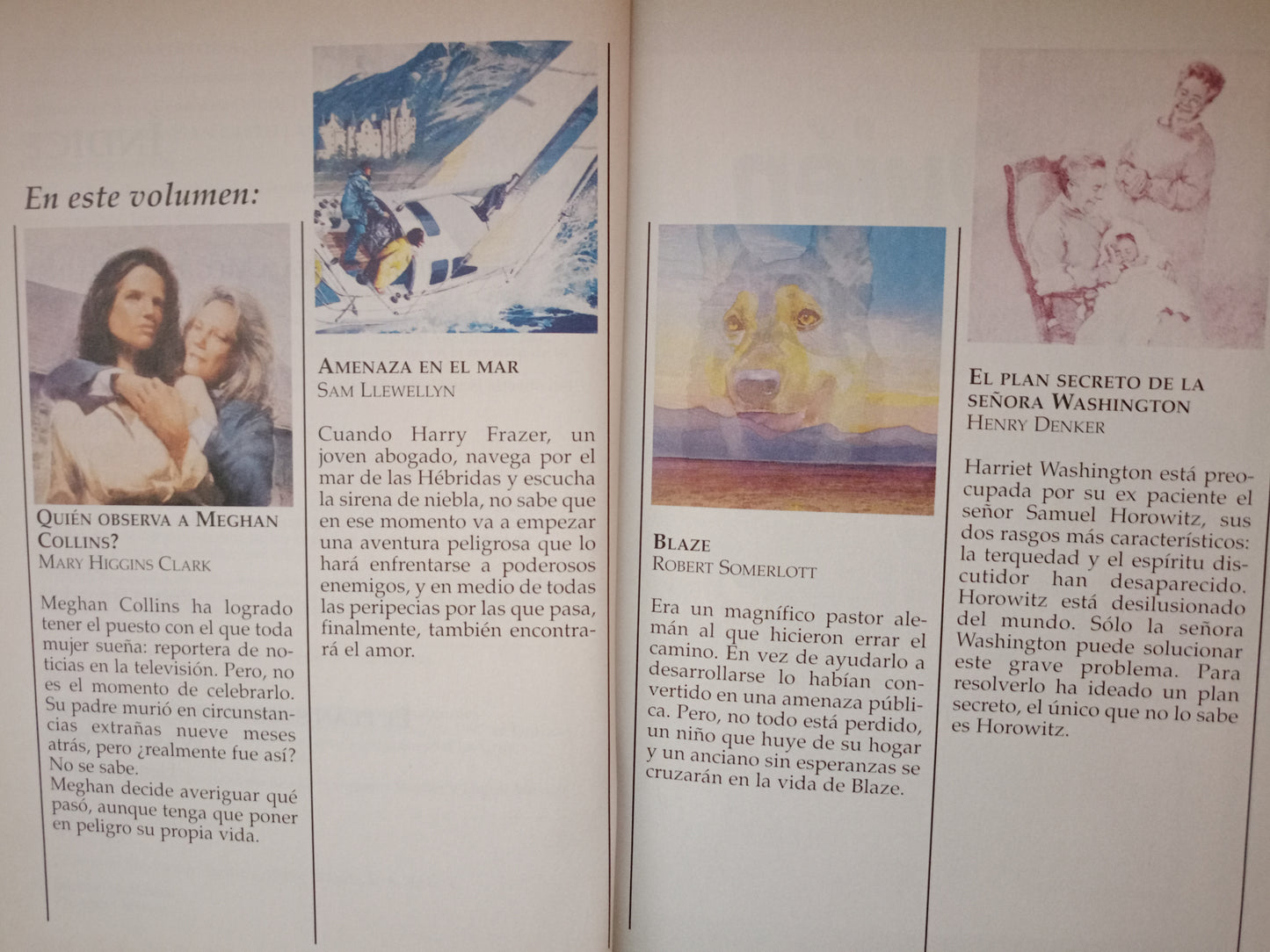¿QUIÉN OBSERVA A MEGHAN COLLINS? MARY HIGGINS CLARK AMENAZA EN EL MAR SAM LLEWELLYN BLAZE ROBERT SOMERLOTT EL PLAN SECRETO DE LA SEÑORA WASHINGTON HENRY DENKER USADO NOVELA LITERARIO 305
