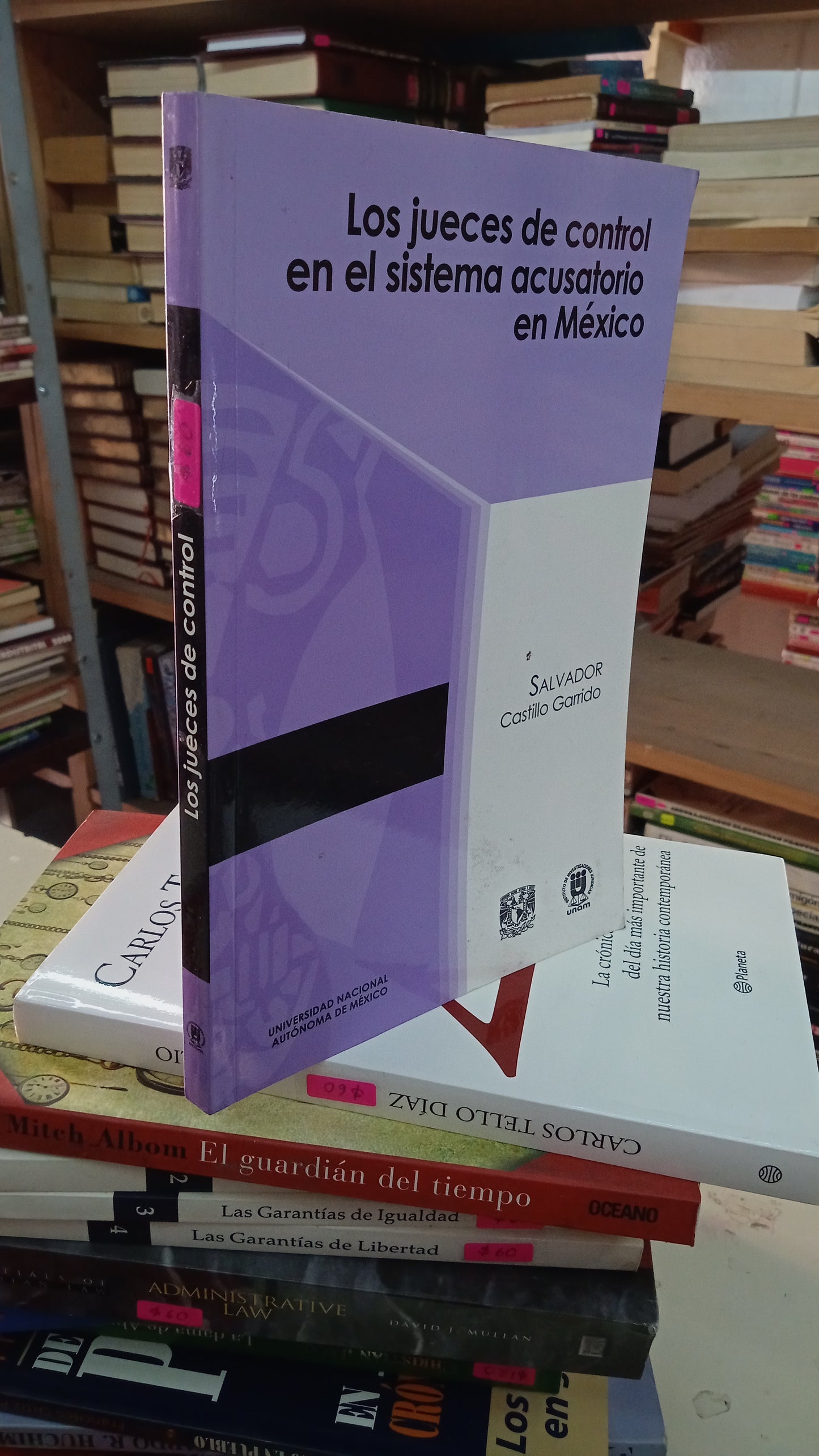 LOS JUECES DE CONTROL EN EL SISTEMA ACUSATORIO EN MÉXICO POR SALVADOR CASTILLO GARRIDO USADO DERECHO LITERARIO 207