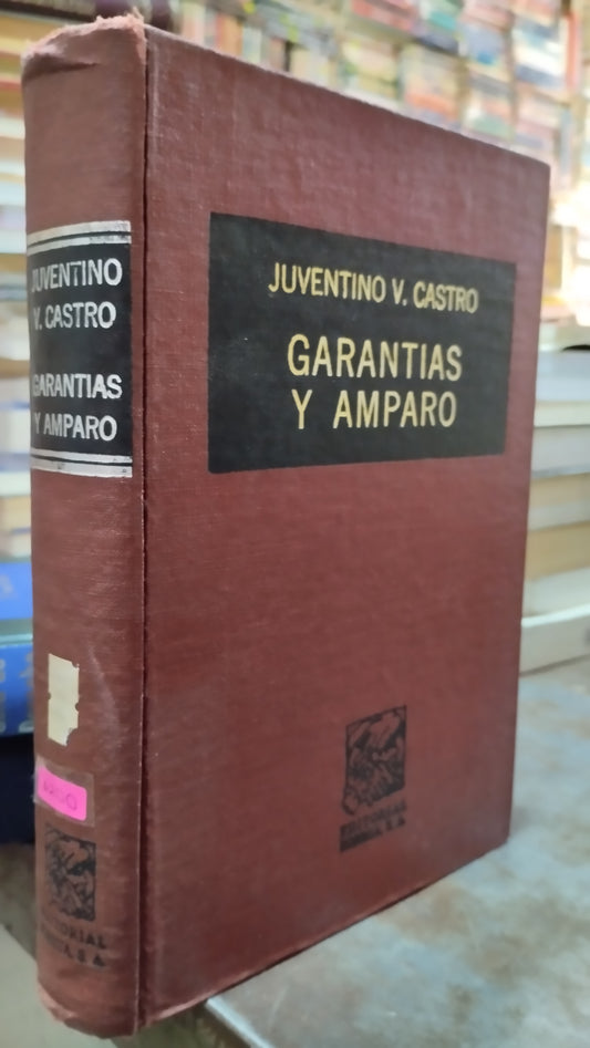 GARANTIAS Y AMPARO POR JUVENTINO V CASTRO LIBRO USADO DERECHO ALDAMA