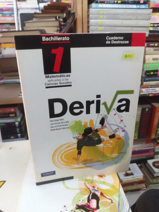 DERIVA BACHILLERATO 1 CUADERNO DE DESTREZAS USADO MATEMÁTICAS LITERARIO 207
