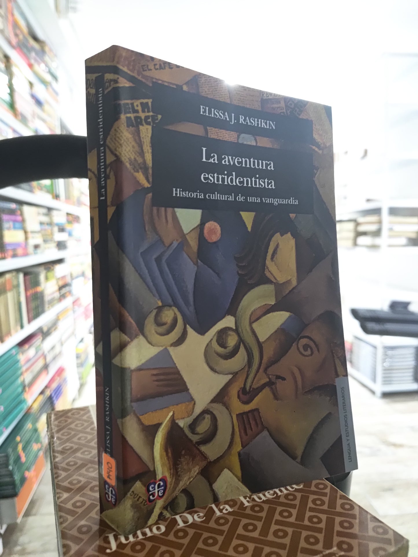 LA AVENTURA ESTRIDENTISTA POR ELISSA J. RASHKIN USADO SOCIOLOGIA JUAREZ 515