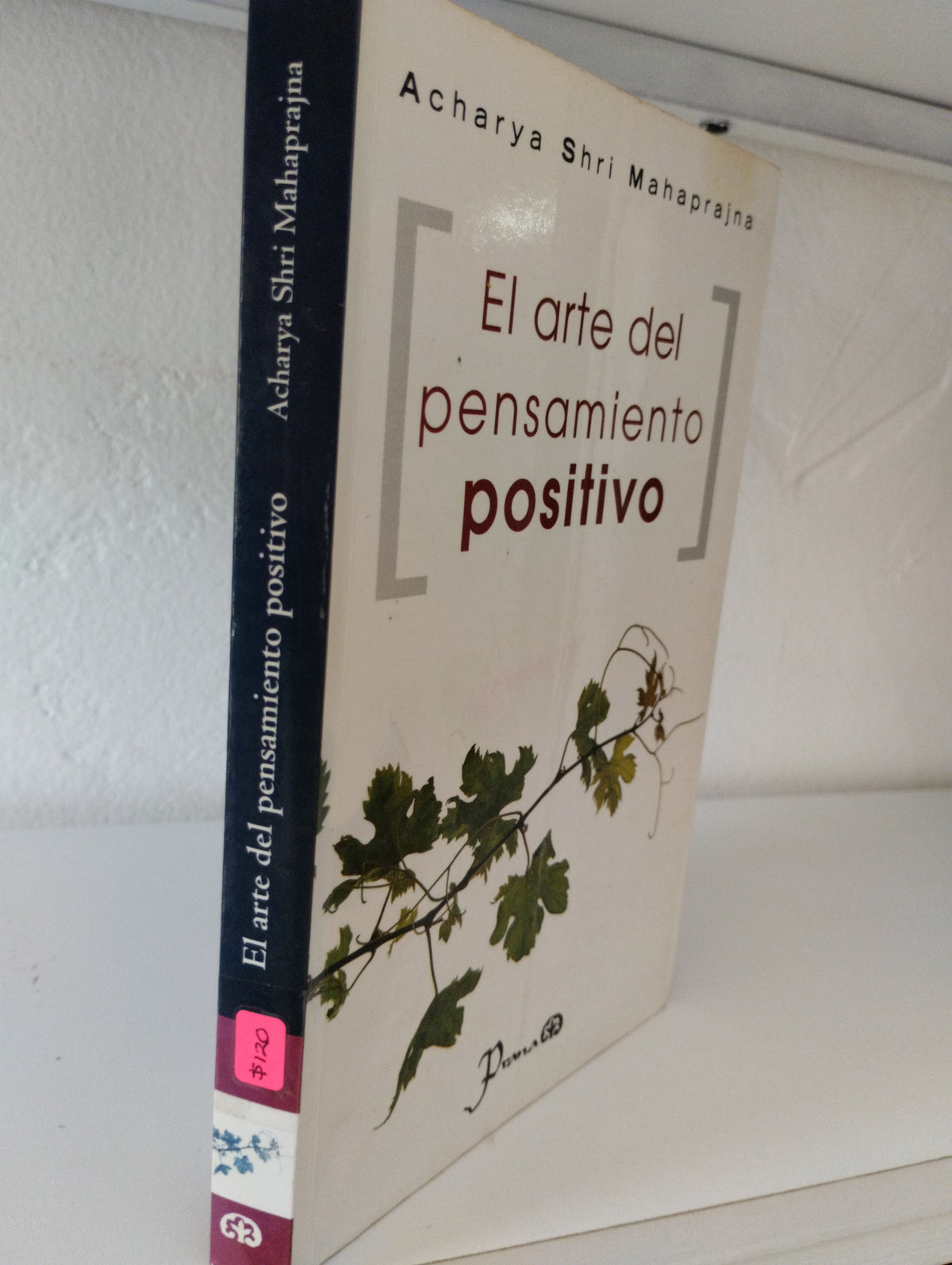 EL ARTE DEL PENSAMIENTO POSITIVO ACHARYA SHRINE MAHAPRAJNA USADO SUPERACION PERSONAL JUAREZ 515