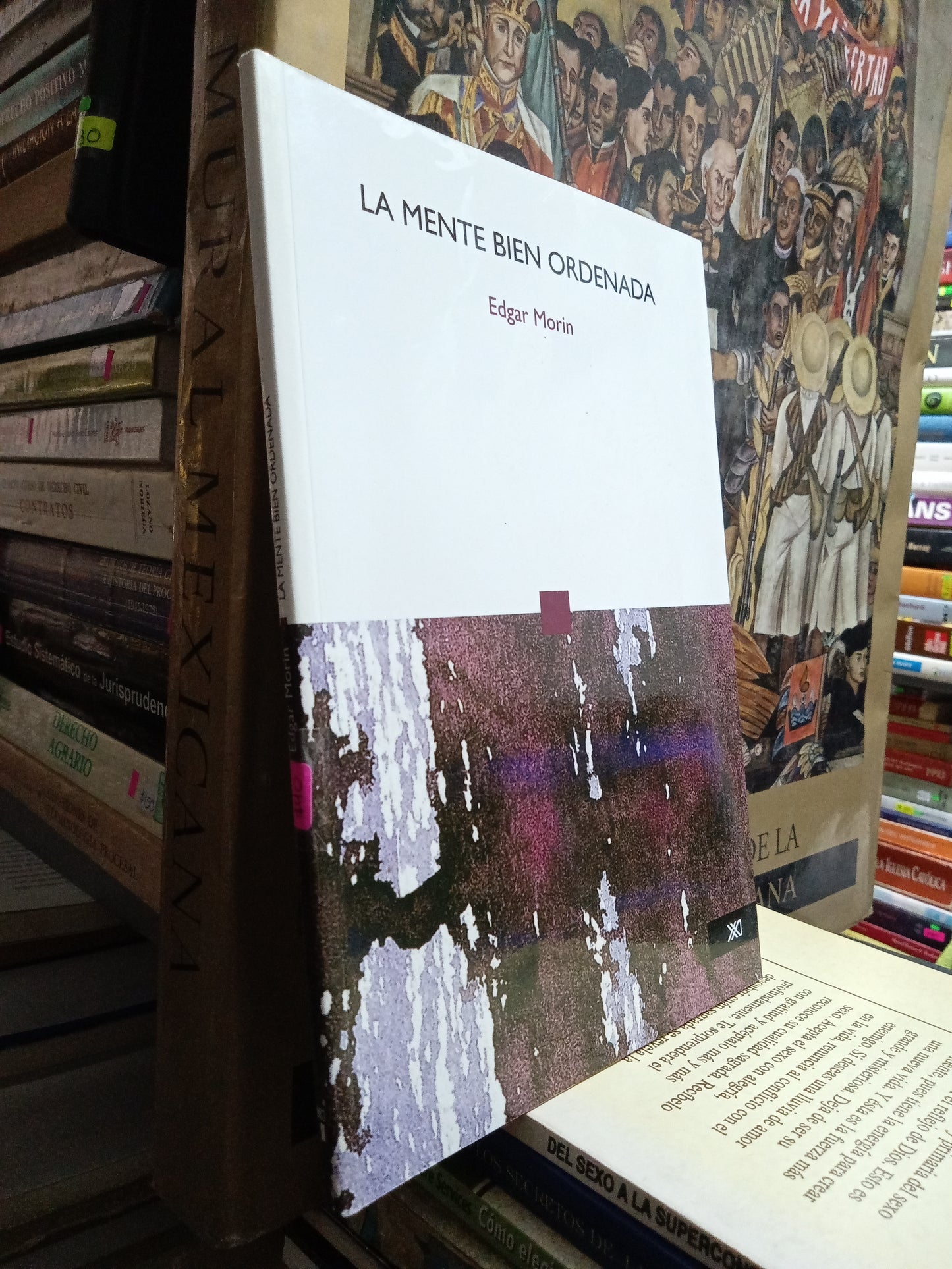 LA MENTE BIEN ORDENADA POR EDGAR MORIN USADO NOVELA JUAREZ