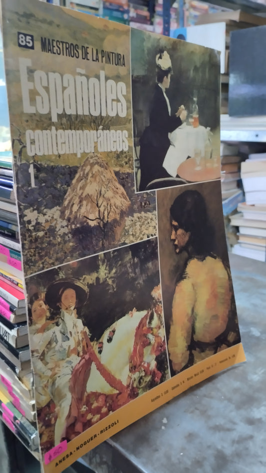 ESPAÑOLES CONTEMPORANEOS 1 LIBRO USADO ARTE ALDAMA