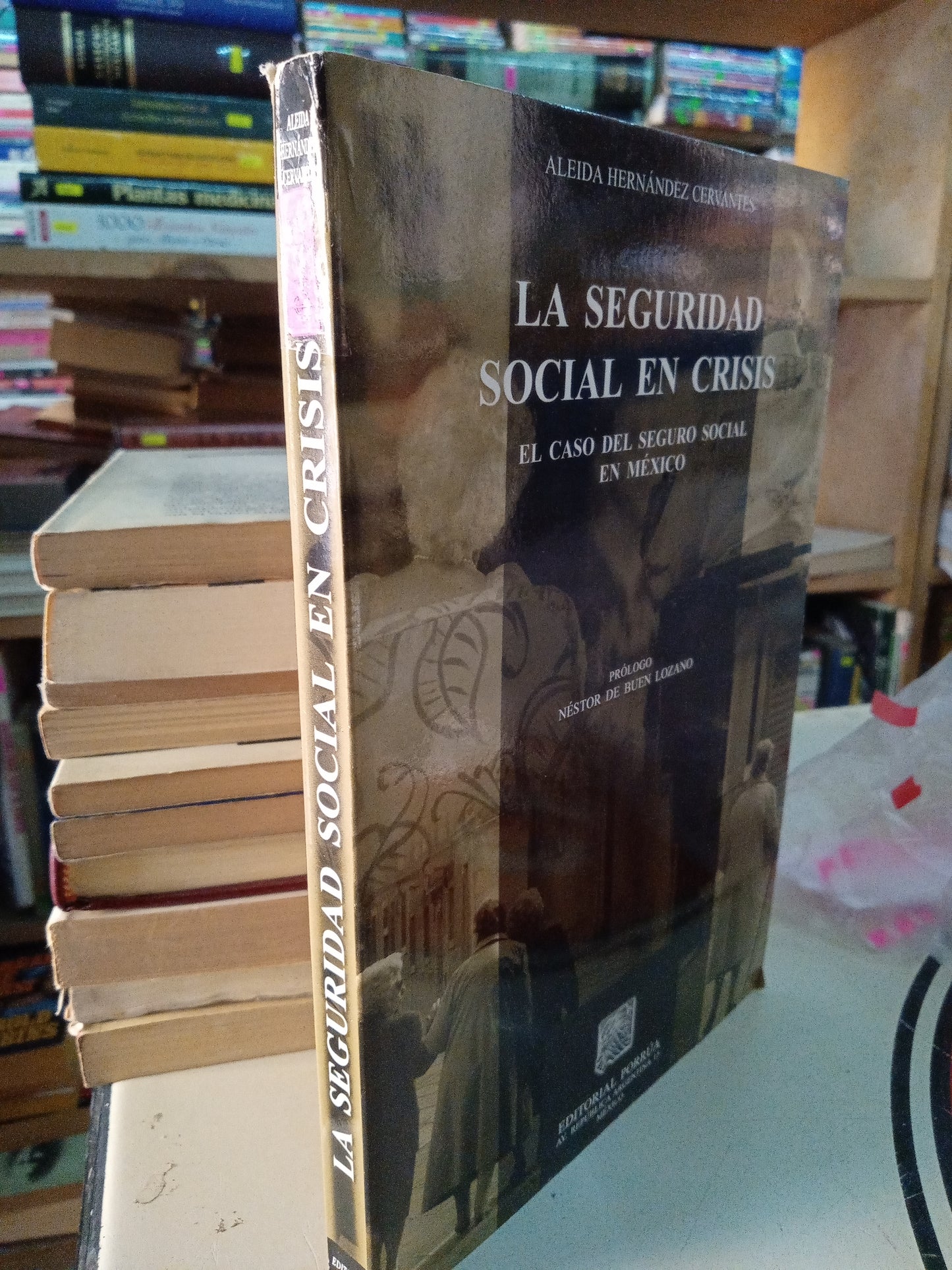 LA SEGURIDAD SOCIAL EN CRISIS EL CASO DEL SEGURO SOCIAL EN MÉXICO POR ALEIDA HERNÁNDEZ CERVANTES USADO DERECHO LITERARIO 207