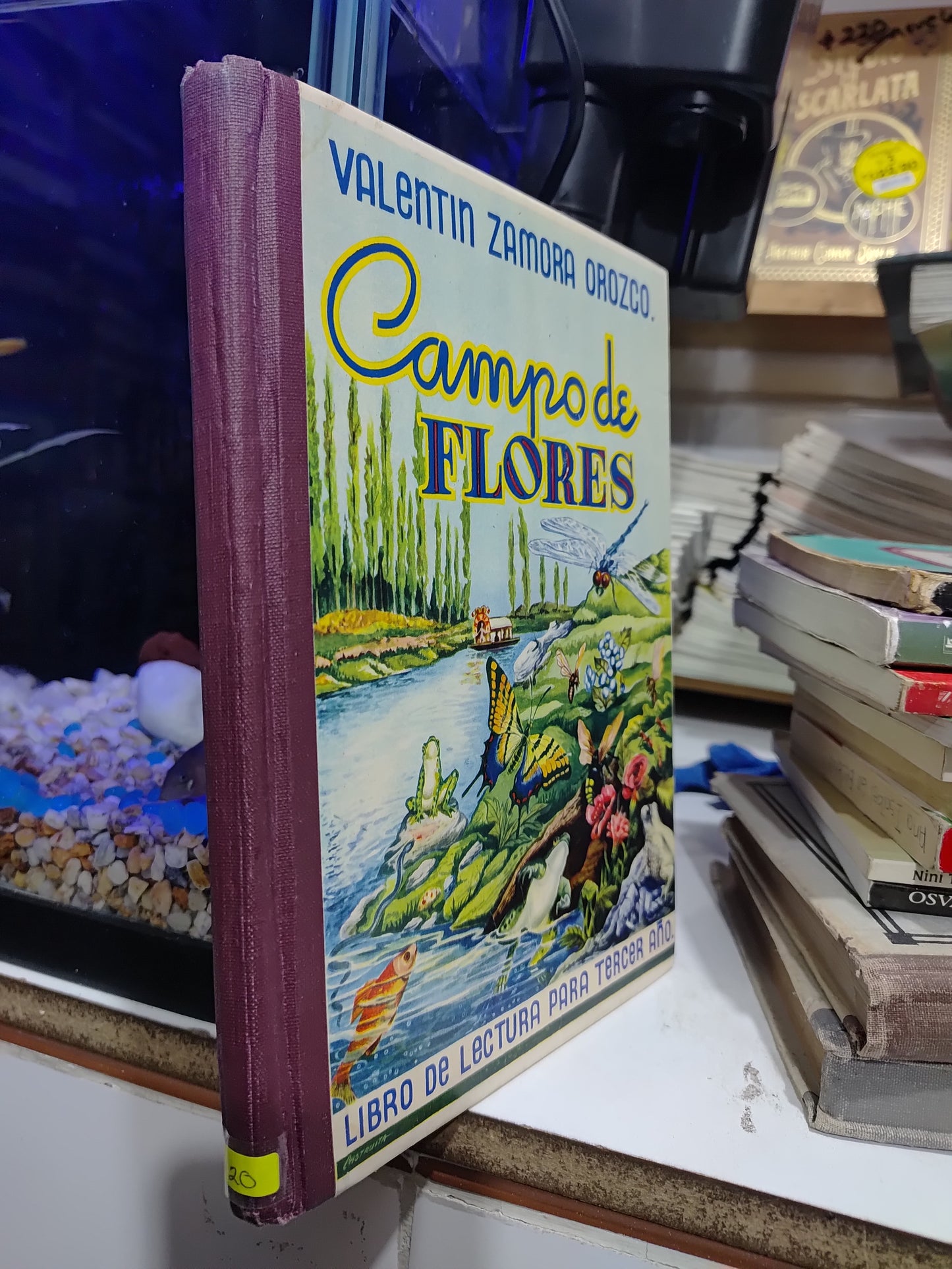 CAMPO DE FLORES POR VALENTIN ZAMORA OROZCO USADO NOVELAS JUAREZ