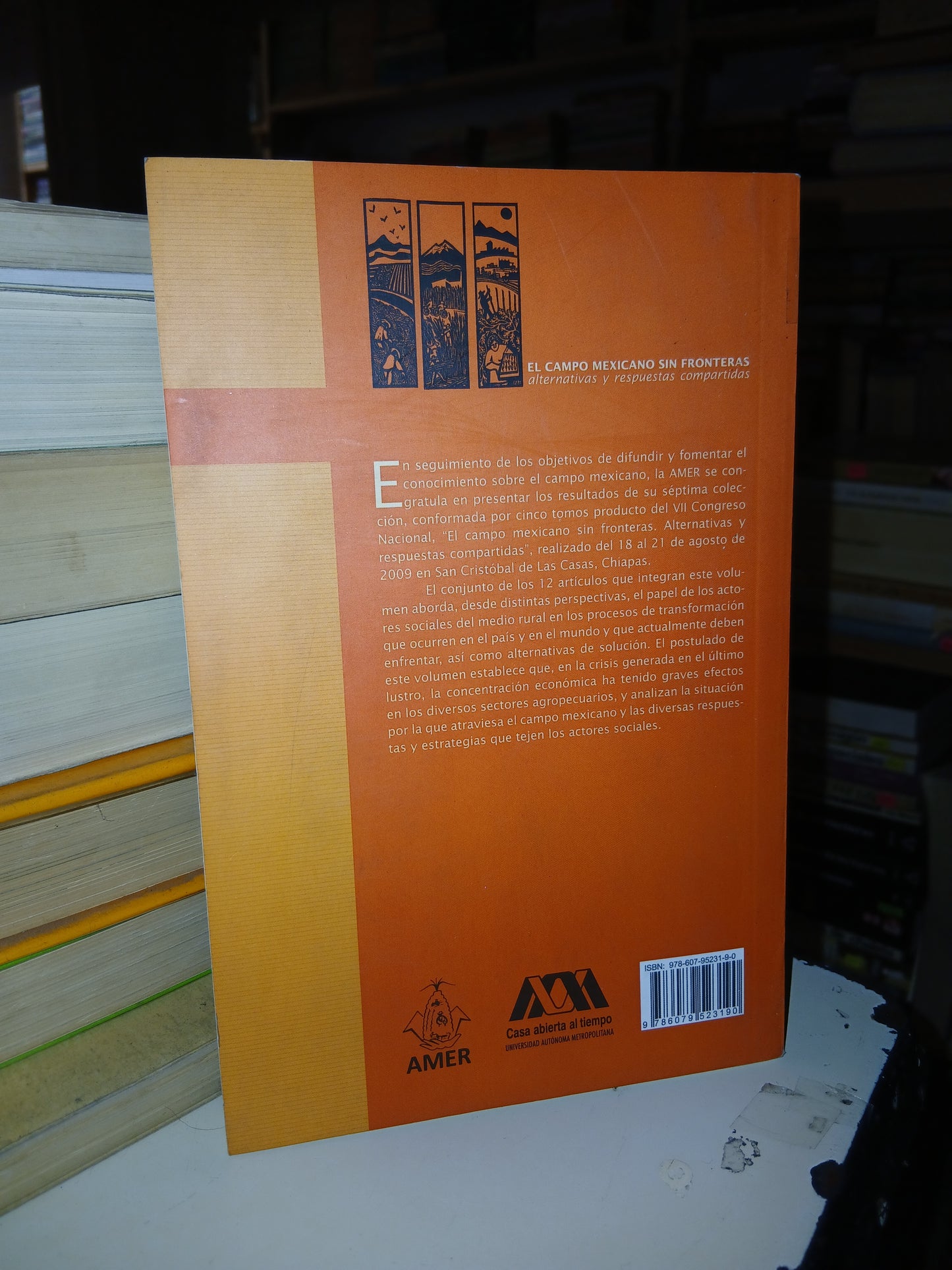 EL CAMPO MEXICANO SIN FRONTERAS: ALTERNATIVAS Y RESPUESTAS COMPARTIDAS TOMO I (VARIOS AUTORES) USADO AGRARIA LITERARIO 207