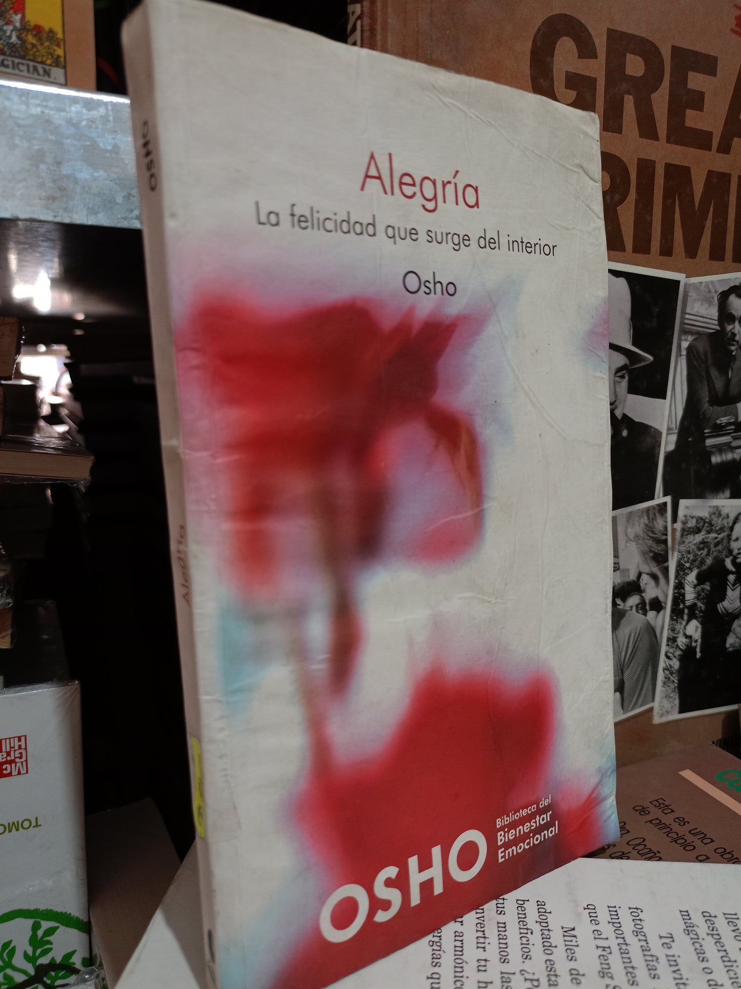 ALEGRÍA LA FELICIDAD QUE SURGE DEL INTERIOR OSHO USADO A.PERSONAL LITERARIO #305