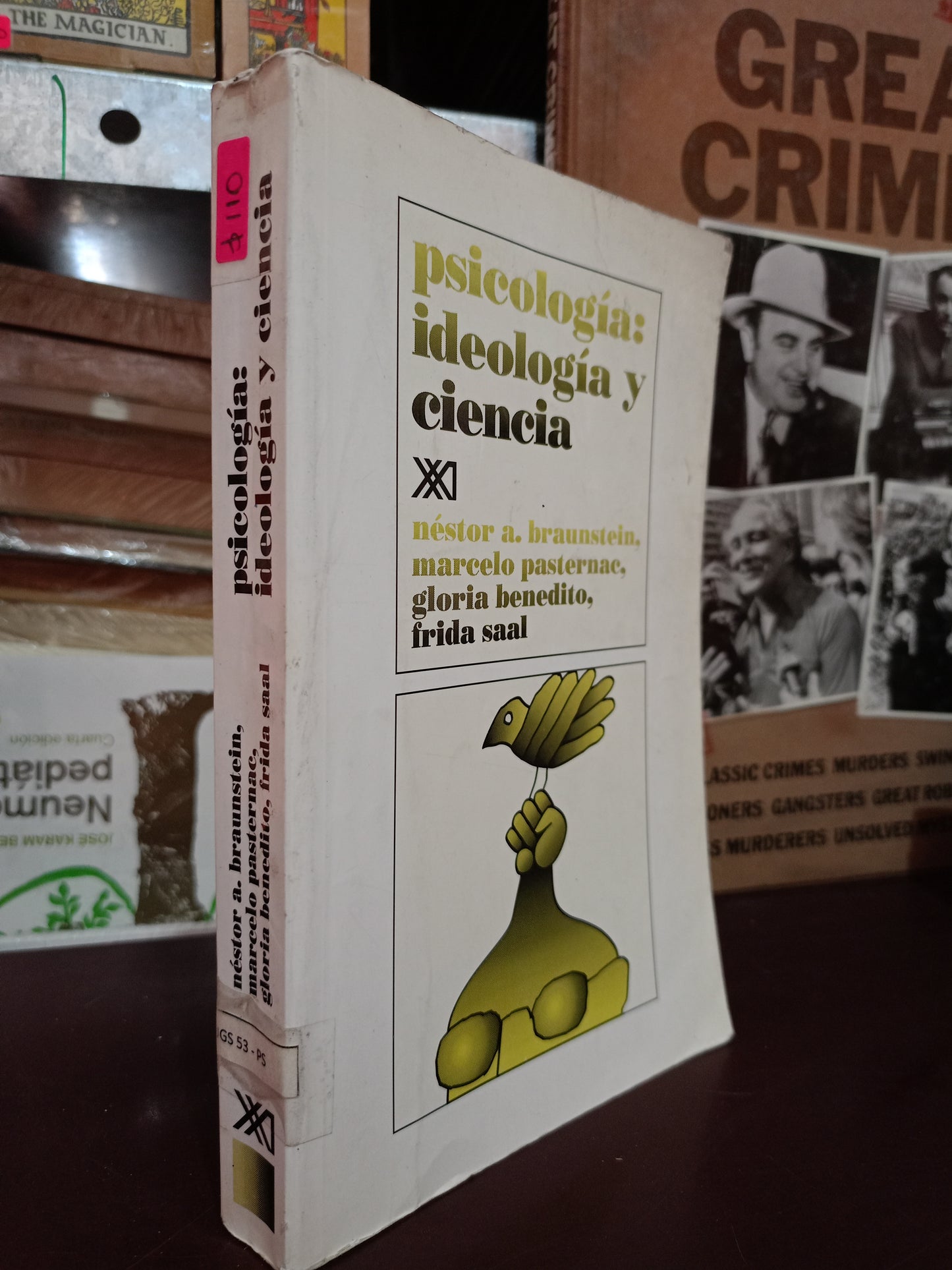 PSICOLOGÍA: IDEOLOGÍA Y CIENCIA POR NÉSTOR A. BRAUNSTEIN, MARCELO PASTERNAC, GLORIA BENEDITO Y FRIDA SAAL USADO PSICOLOGÍA LITERARIO 305