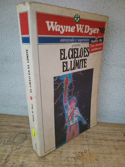 EL CIELO ES EL LIMITE WAYNE W.DYER USADO S.PERSONAL LITERARIO 305