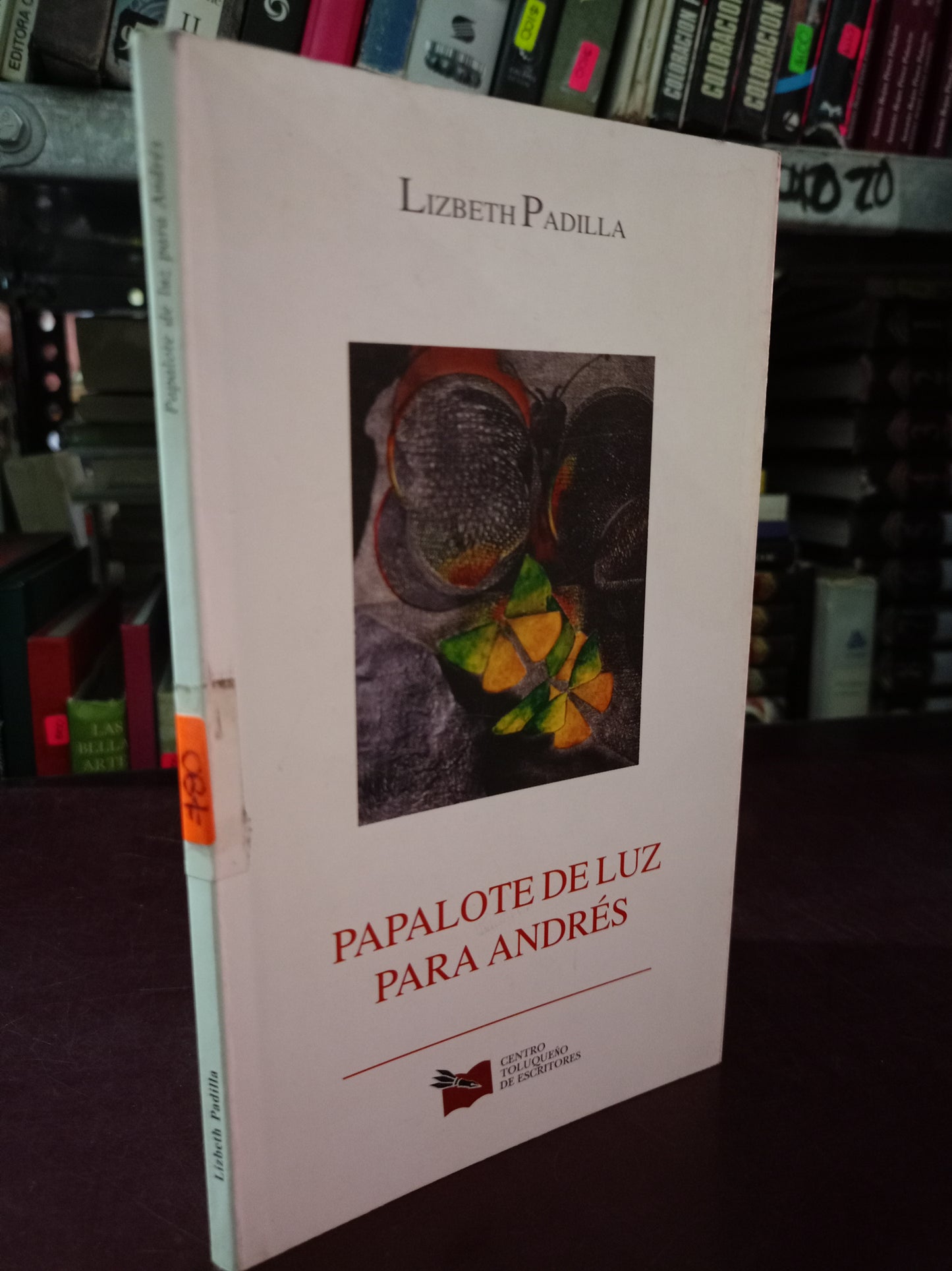 PAPALOTE DE LUZ PARA ANDRÉS POR LIZBETH PADILLA USADO NOVELA LITERARIO 305