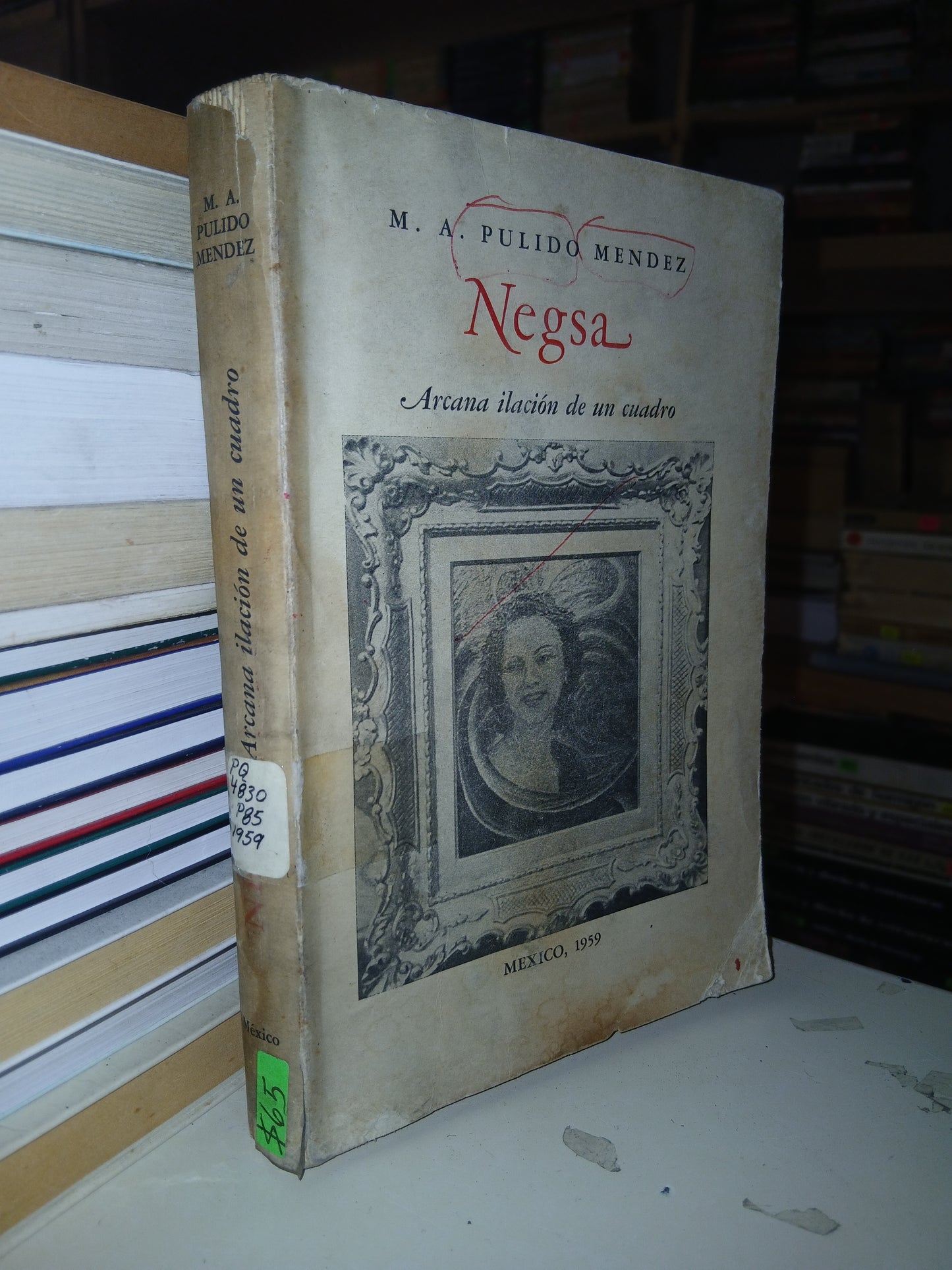 NEGSA ARCANA ILACIÓN DE UN CUADRO POR M.A. PULIDO MENDEZ USADO NOVELA LITERARIO 207