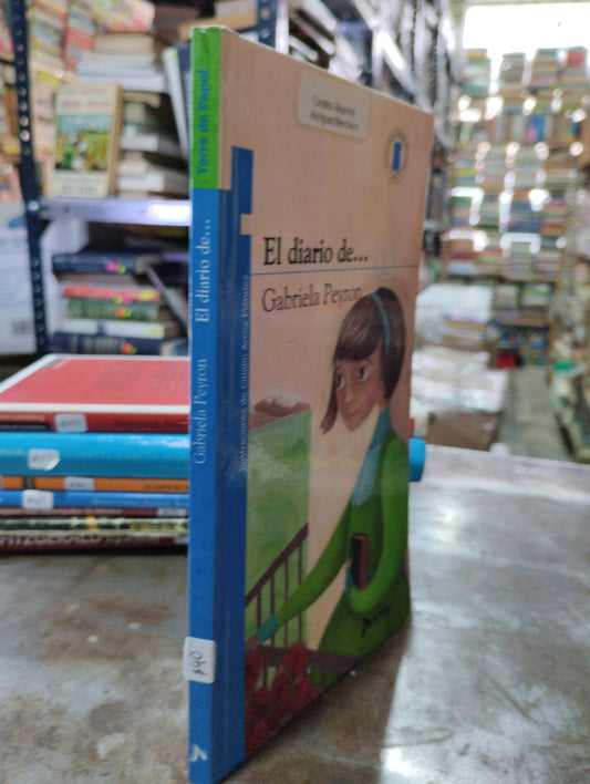 EL DIARIO DE POR GABRIELA PEYRON USADO INFANTIL ALDAMA