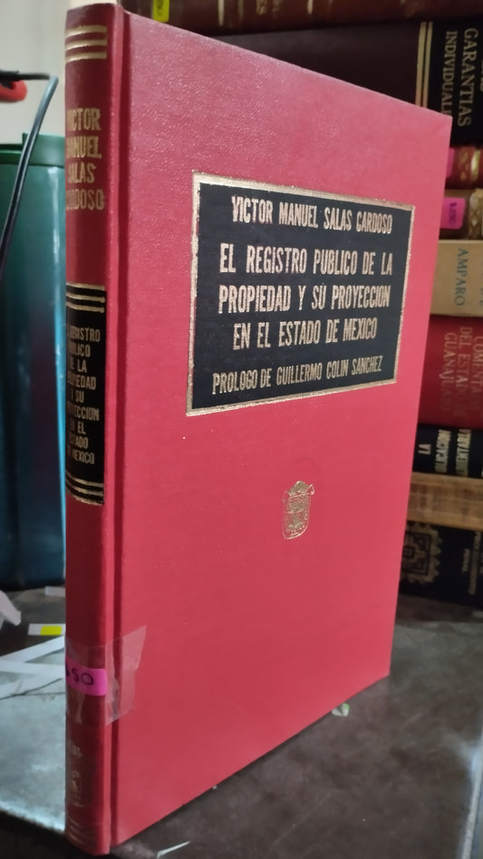 EL REGISTRO PUBLICO DE LA PROPIEDAD Y SU PROYECCION EN EL ESTADO DE MEXICO POR VICTOR MANUEL SALAS CARDOSO LIBRO USADO DERECHO ALDAMA