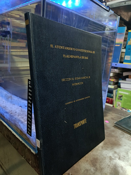 DICCION DEL SISTEMA MUNUCIPAL DE INFORMACION TRANSPORTE USADO HISTORIA ALDAMA
