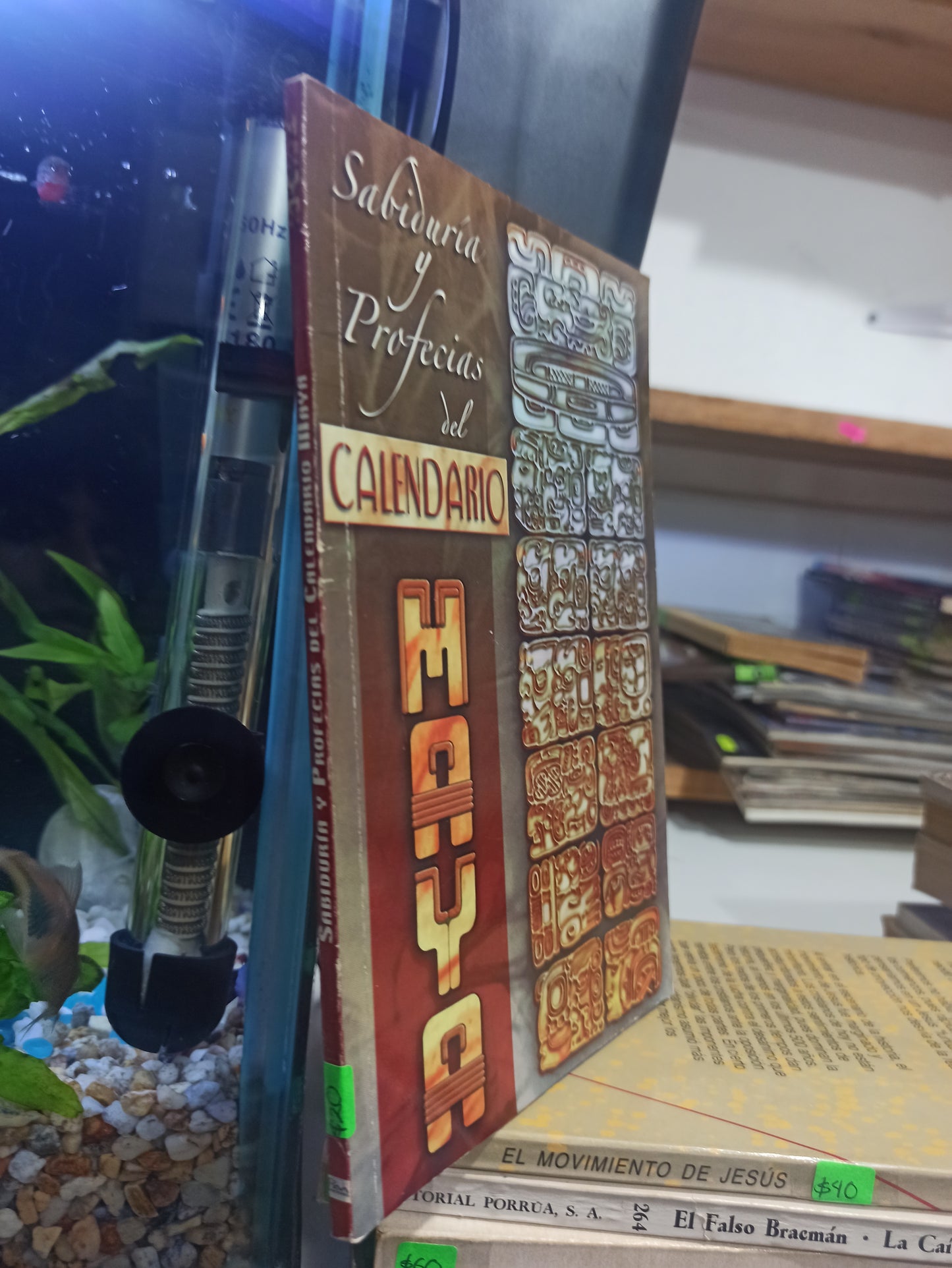 SABIDURIA Y PROFECIAS DE CALENDARIO MAYA POR EDITORIAL EPOCA USADO HISTORIA JUÁREZ