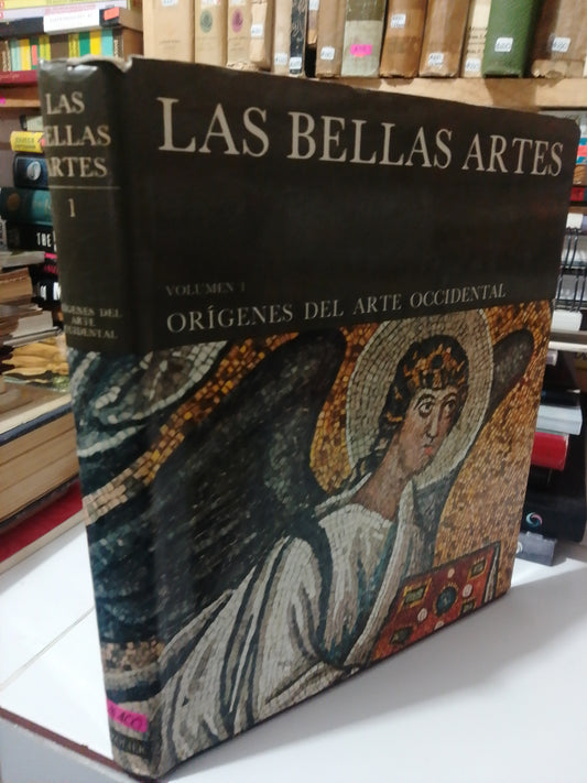 LAS BELLAS ARTES 1 ORIGENES DEL ARTE ACCIDENTAL USADO ARTE JUAREZ