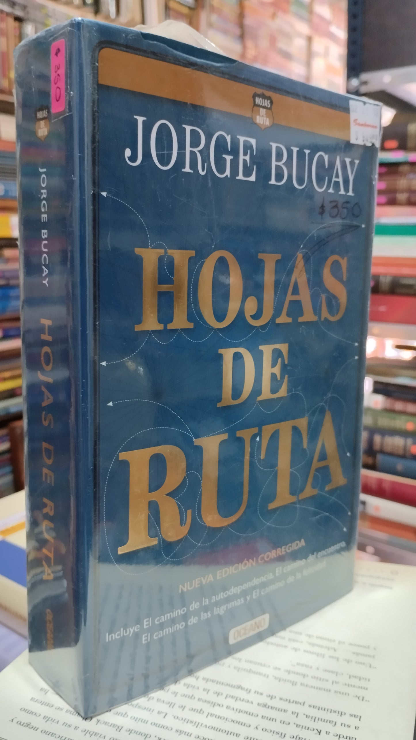 HOJAS DE RUTA POR JORGE BUCAY LIBRO USADO NOVELAS ALDAMA