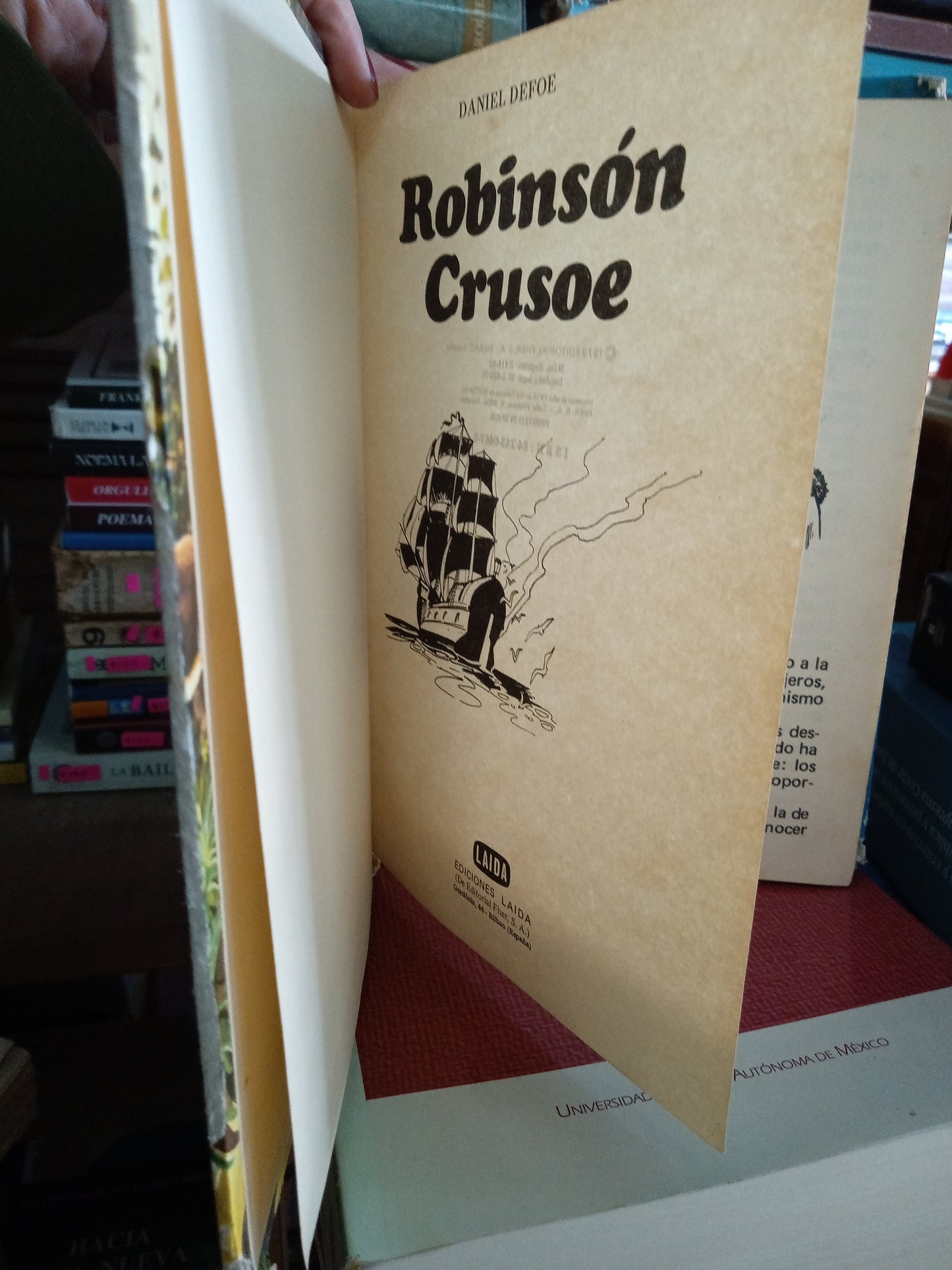 ROBINSON CRUSOE POR DANIEL DEFOE USADO NOVELA LITERARIO 207
