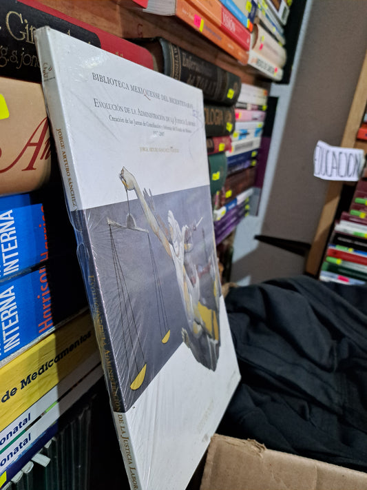 EVOLUCIÓN DE LA ADMINISTRACIÓN DE LA JUSTICIA LABORAL JORGE ARTURO SÁNCHEZ VÁZQUEZ NUEVO LIBROS NUEVOS LITERARIO 305