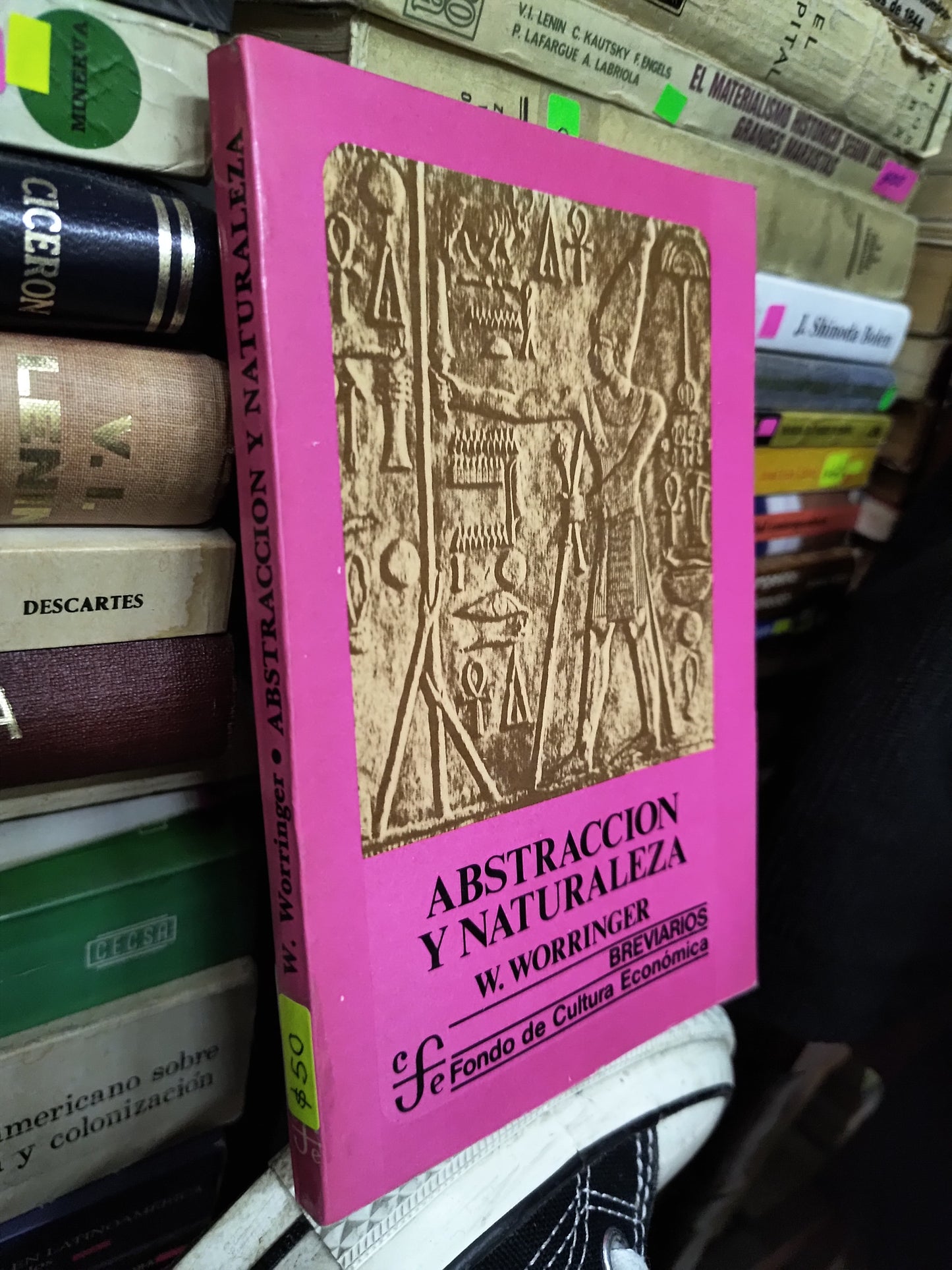 ABSTRACCION Y NATURALEZA POR W. WORRINGER USADO SOCIOLOGIA LITERARIO 207