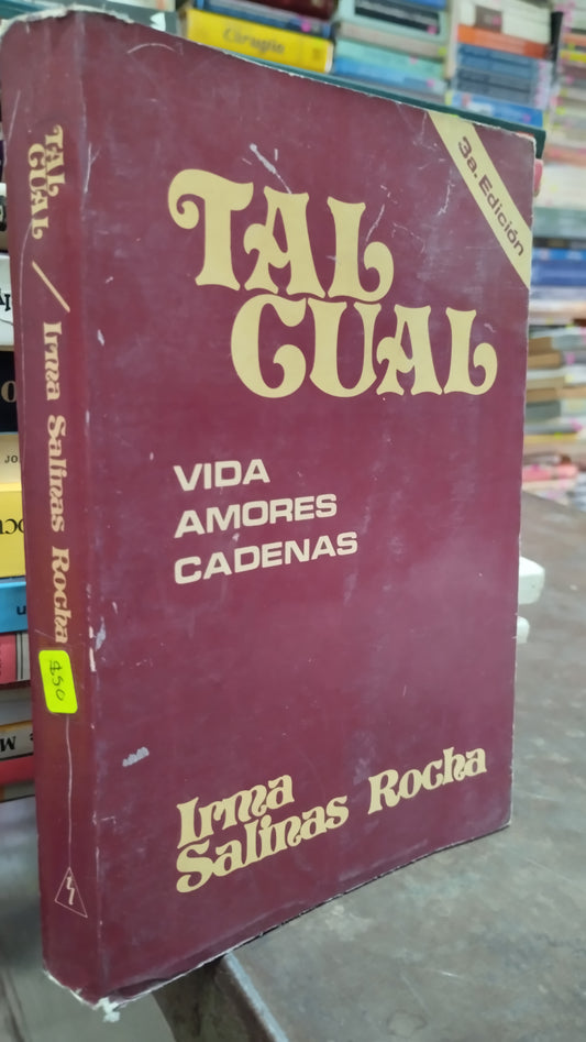 TAL CUAL POR IRMA SALINAS ROCHA LIBRO USADO NOVELAS ALDAMA