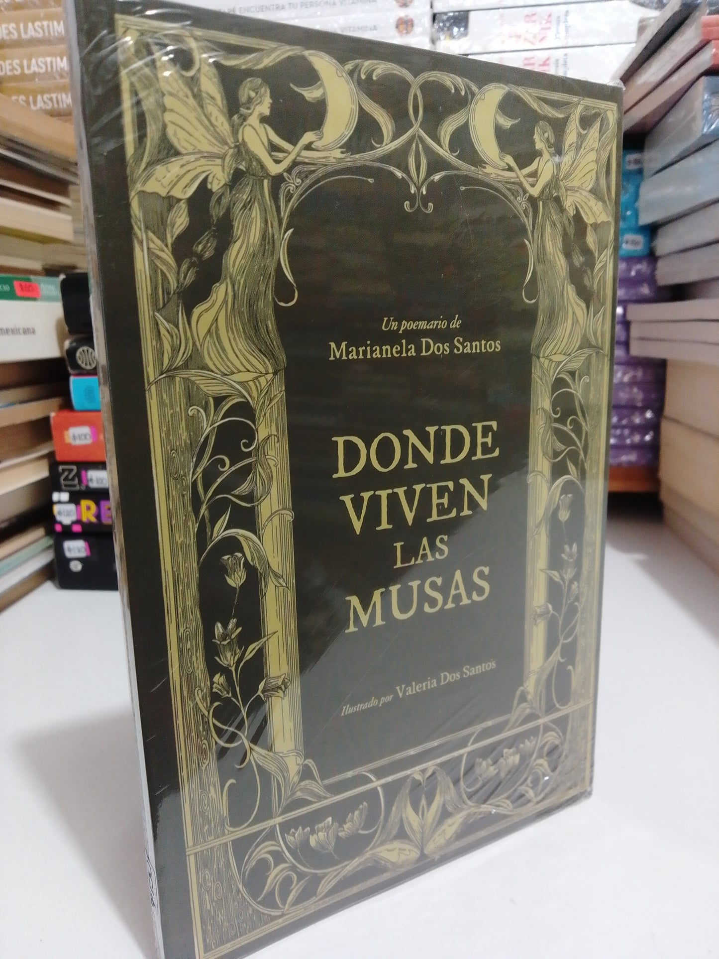 DONDE VIVEN LAS MUSAS POR MARIANELA DOS SANTOS NUEVO JUAREZ