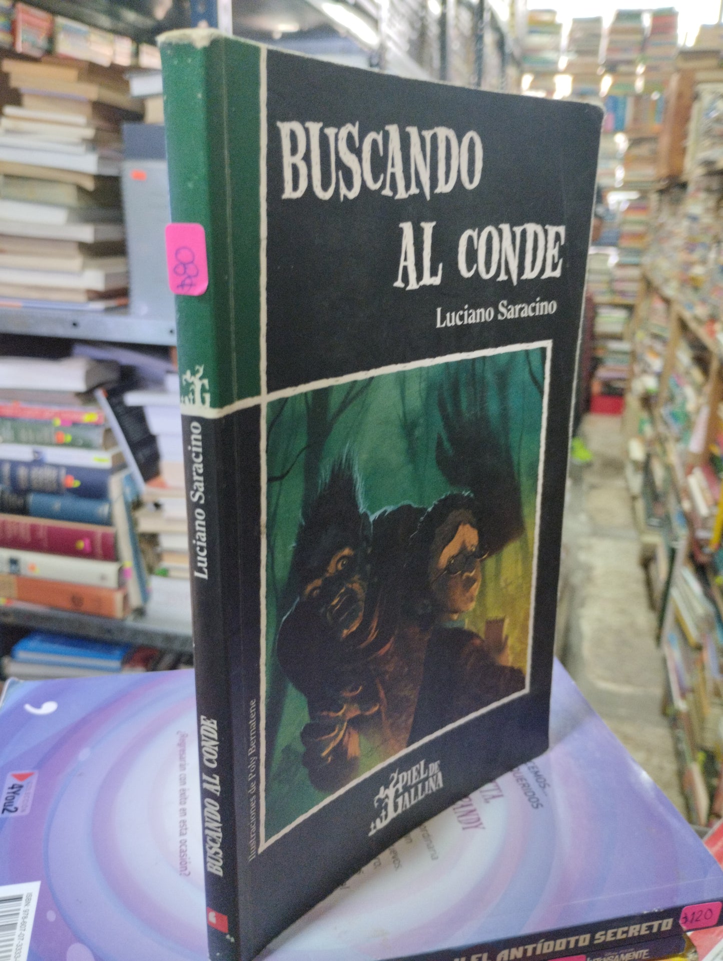 BUSCANDO AL CONDE POR LUCIANO SARACINO USADO INFANTIL ALDAMA
