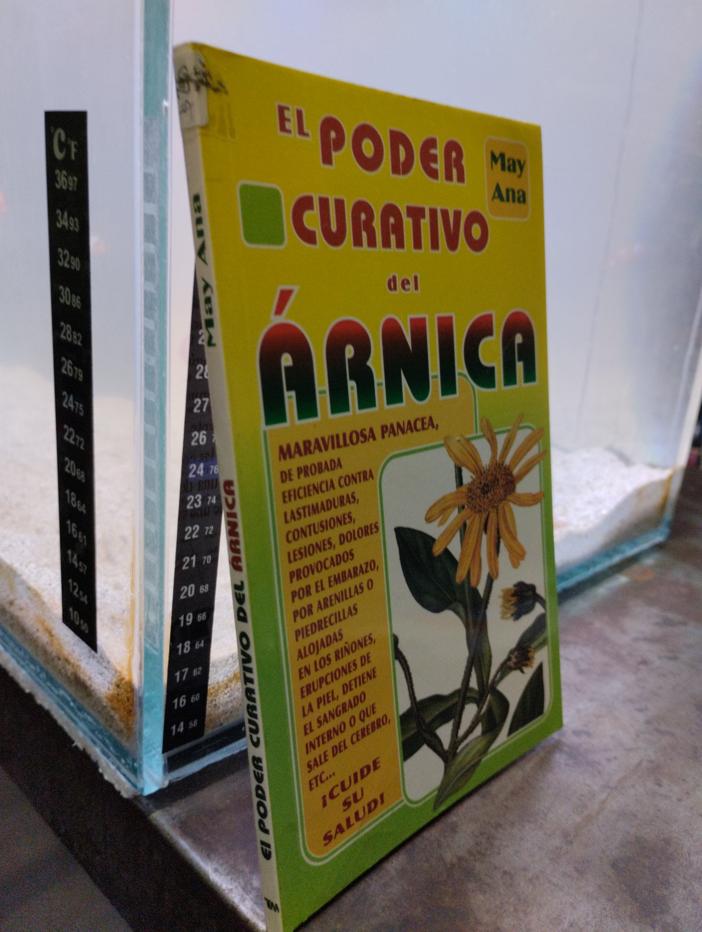 EL PODER CURATIVO DEL ARNICA POR MAY ANA USADO SALUD ALDAMA