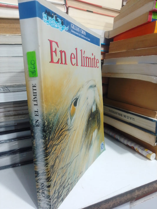 EN EL LÍMITE GILLIAN CROSS USADO NOVELA JUÁREZ #507