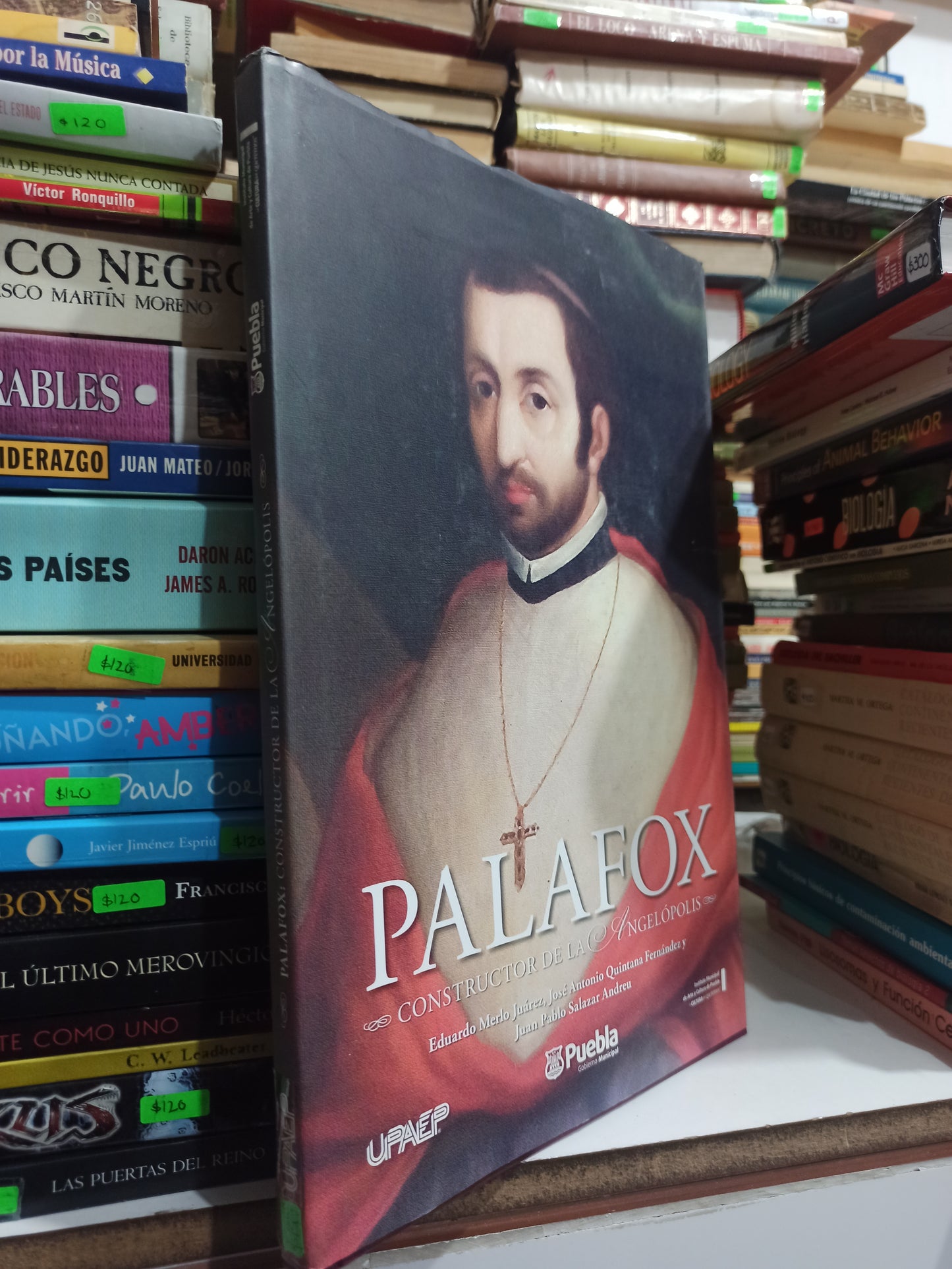 PALAFOX CONSTRUCTOR DE LA ANGELOPOLIS POR EDUARDO MERLO JUAREZ Y OTROS USADO HISTORIA JUÁREZ