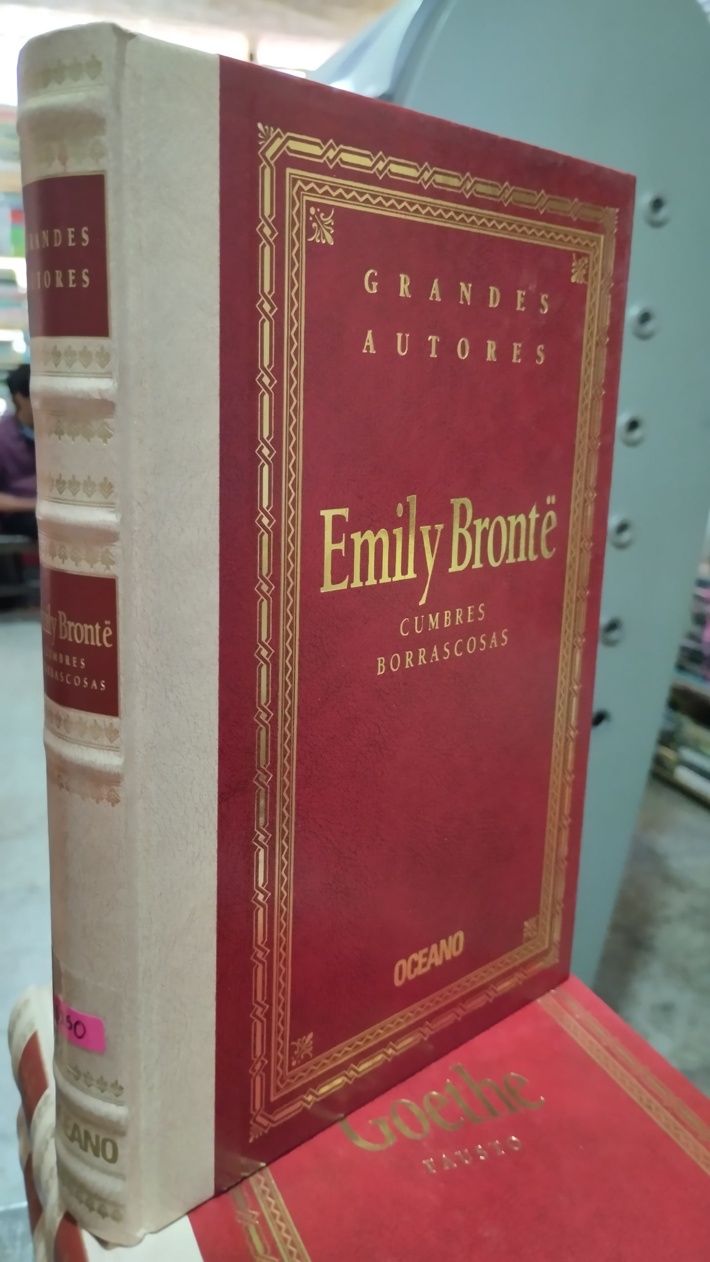 CUMBRES BORRASCOSAS POR EMILY BRONTE LIBRO USADO NOVELAS ALDAMA