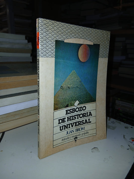 ESBOZO DE HISTORIA UNIVERSAL POR JUAN BROM USADO HISTORIA LITERARIO 207