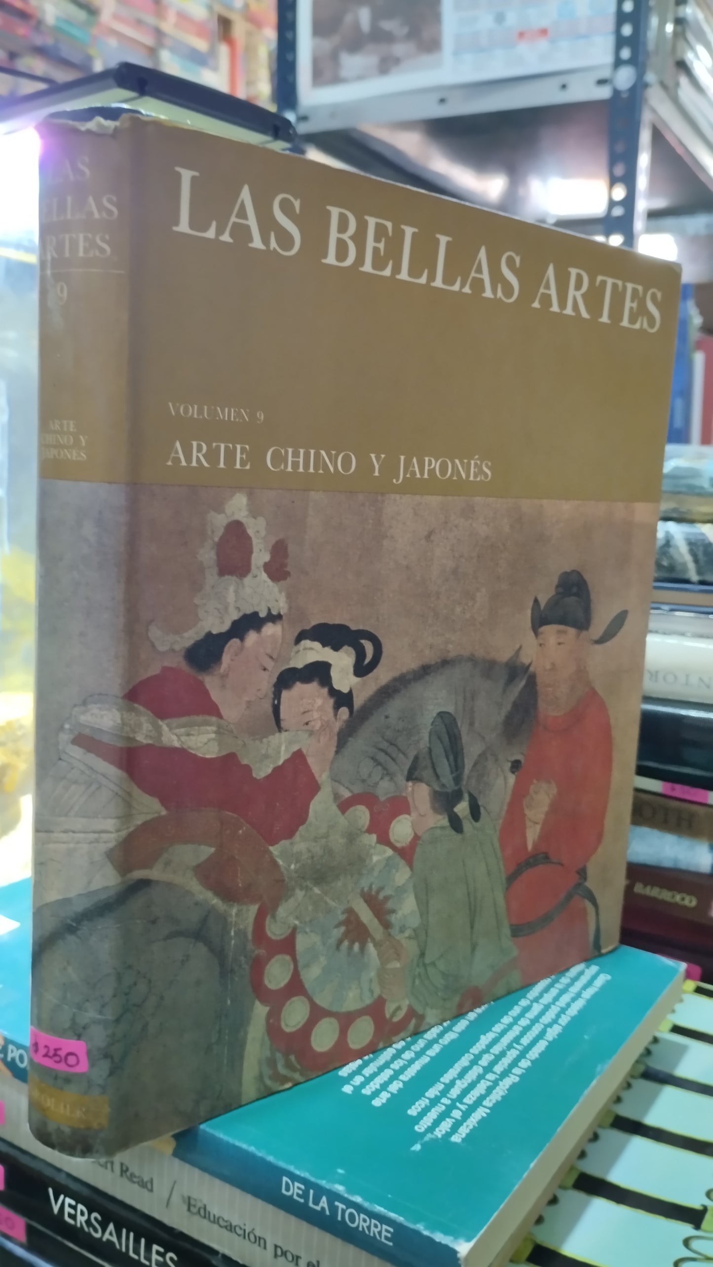 LAS BELLAS ARTES 9 LIBRO USADO ARTE ALDAMA