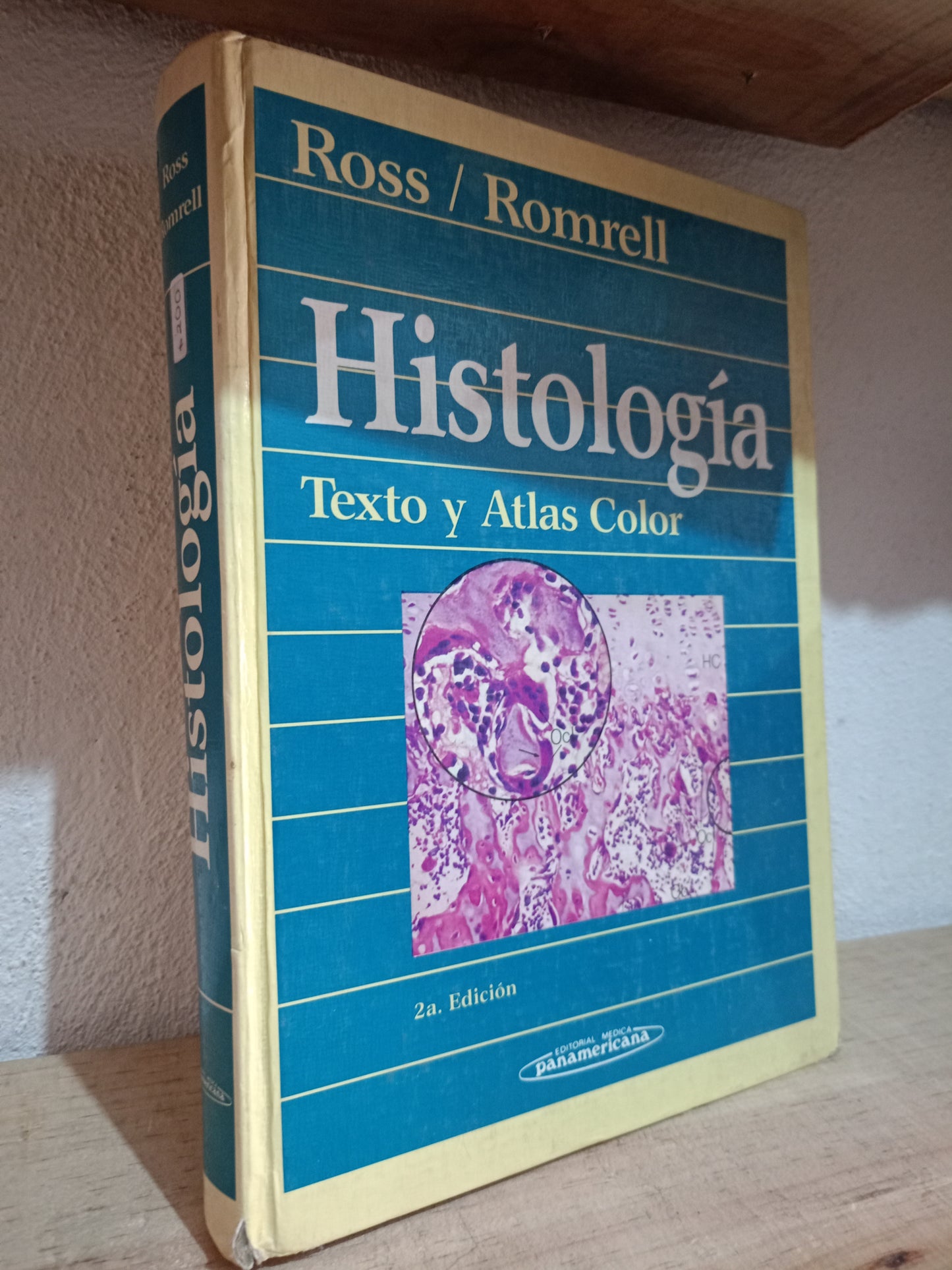 HISTOLOGIA TEXTO Y ATLAS COLOR POR ROSS ROMRELL USADO SALUD LITERARIO 305