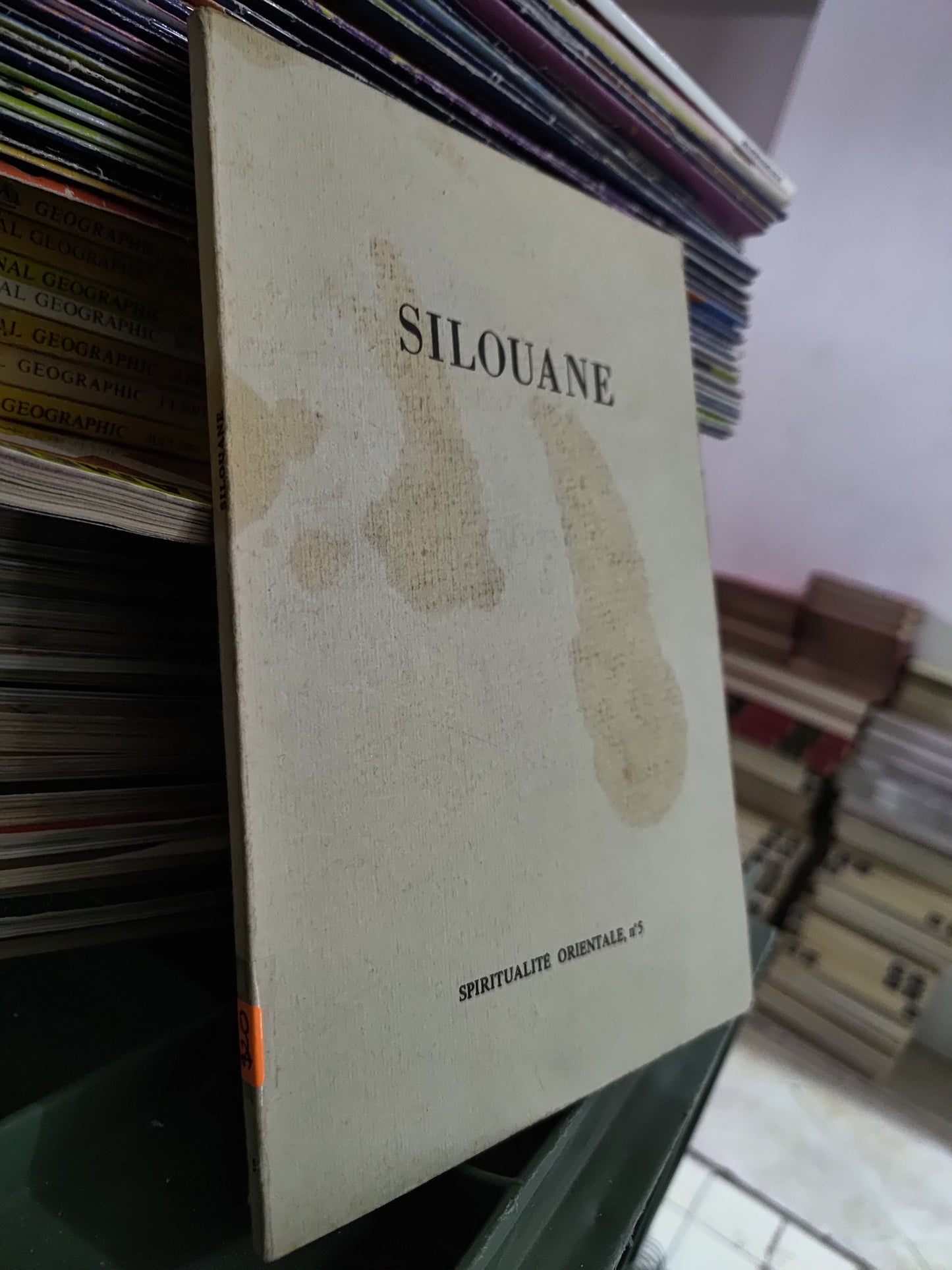 SILOUANE POR DIVO BARSOTTI USADO IDIOMAS JUAREZ 515