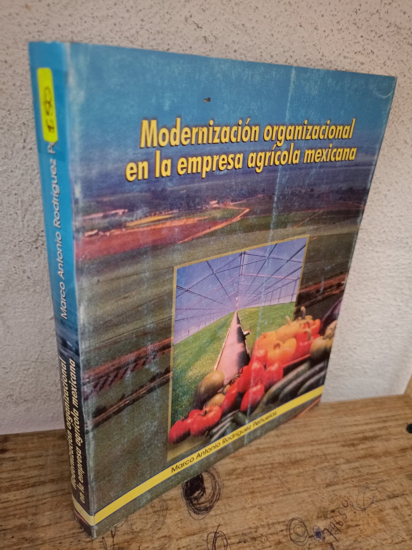 MODERNIZACIÓN ORGANIZACIONAL DE LA EMPRESA AGRÍCOLA MEXICANA POR MARCO ANTONIO RODRÍGUEZ PEÑUELAS USADO ADMINISTRACIÓN LITERARIO 305