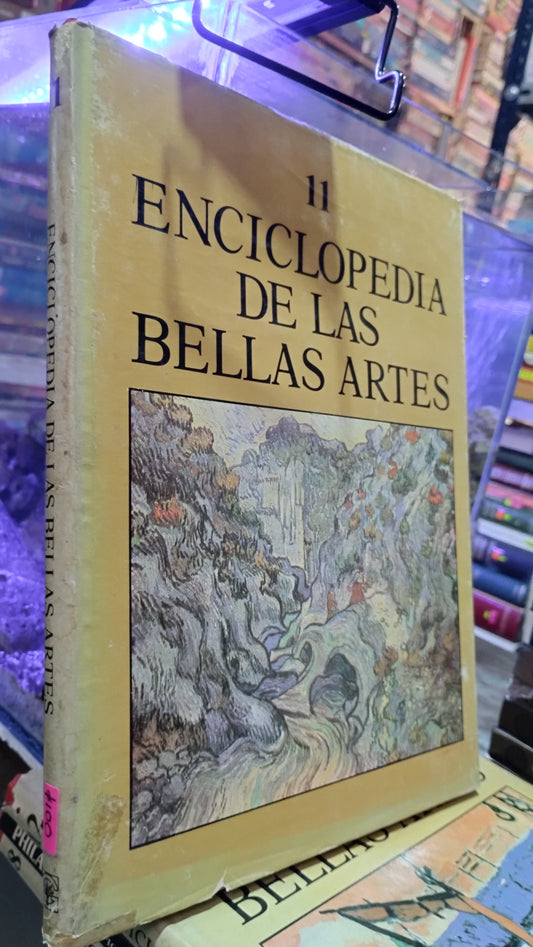 ENCICLOPEDIA DE LAS BELLAS ARTES 11 LIBRO USADO ARTE ALDAMA