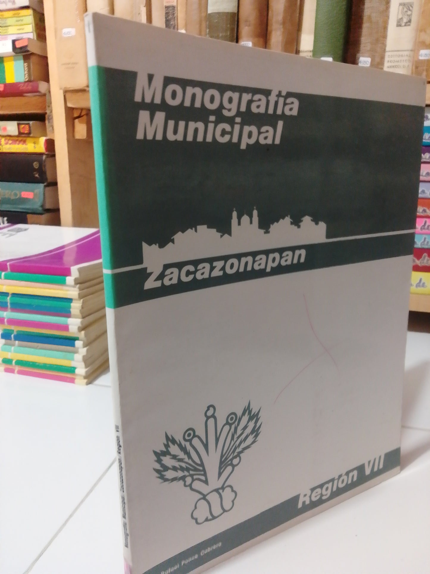 ZACAZONAPAN MONOGRAFÍA MUNICIPAL POR RAFAEL PINCE USADO EDOMEX JUAREZ