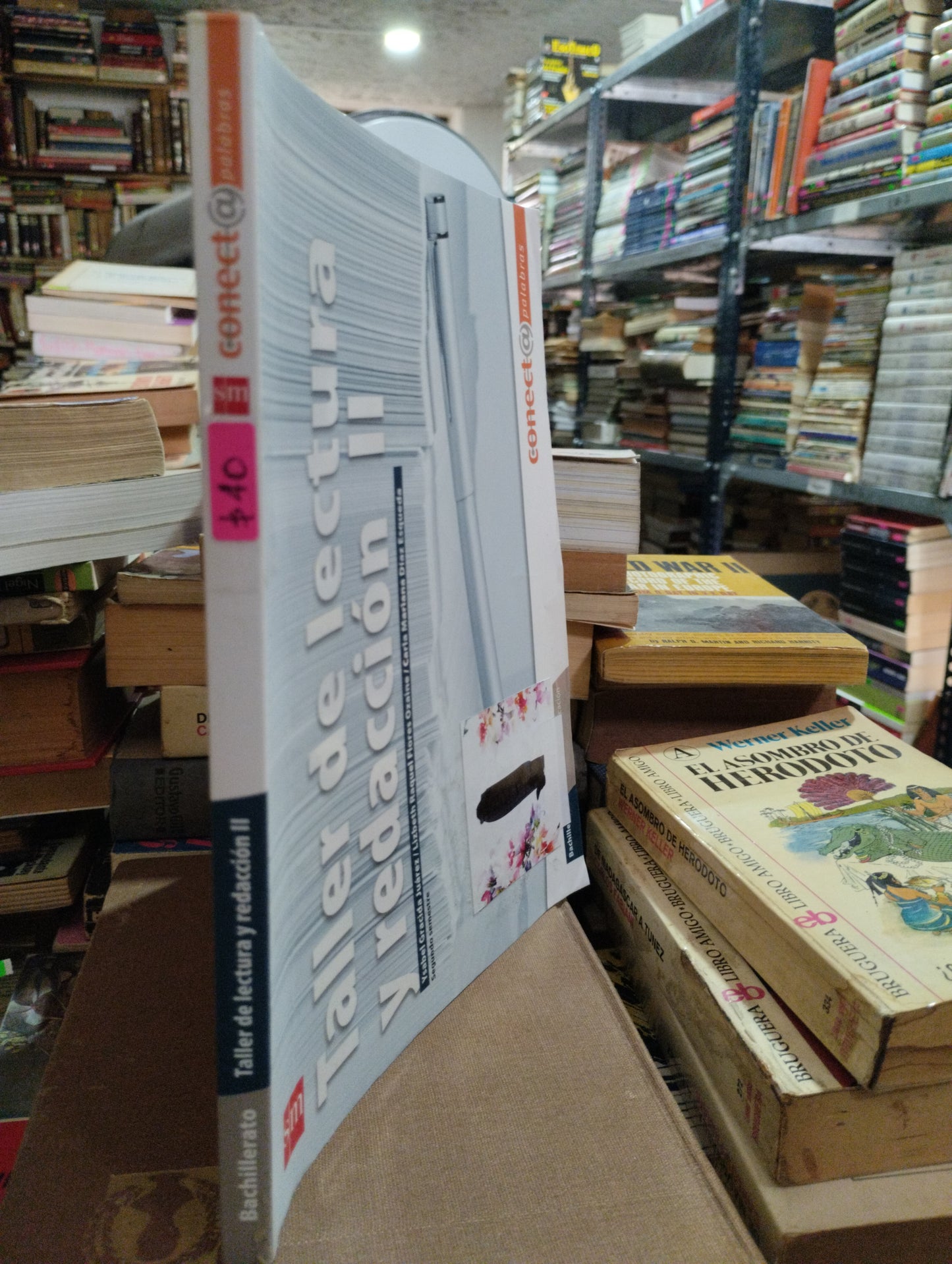 TALLER DE LECTURA Y REDACCION II POR CARLA DIAZ Y OTRAS USADO EDUCACION ALDAMA