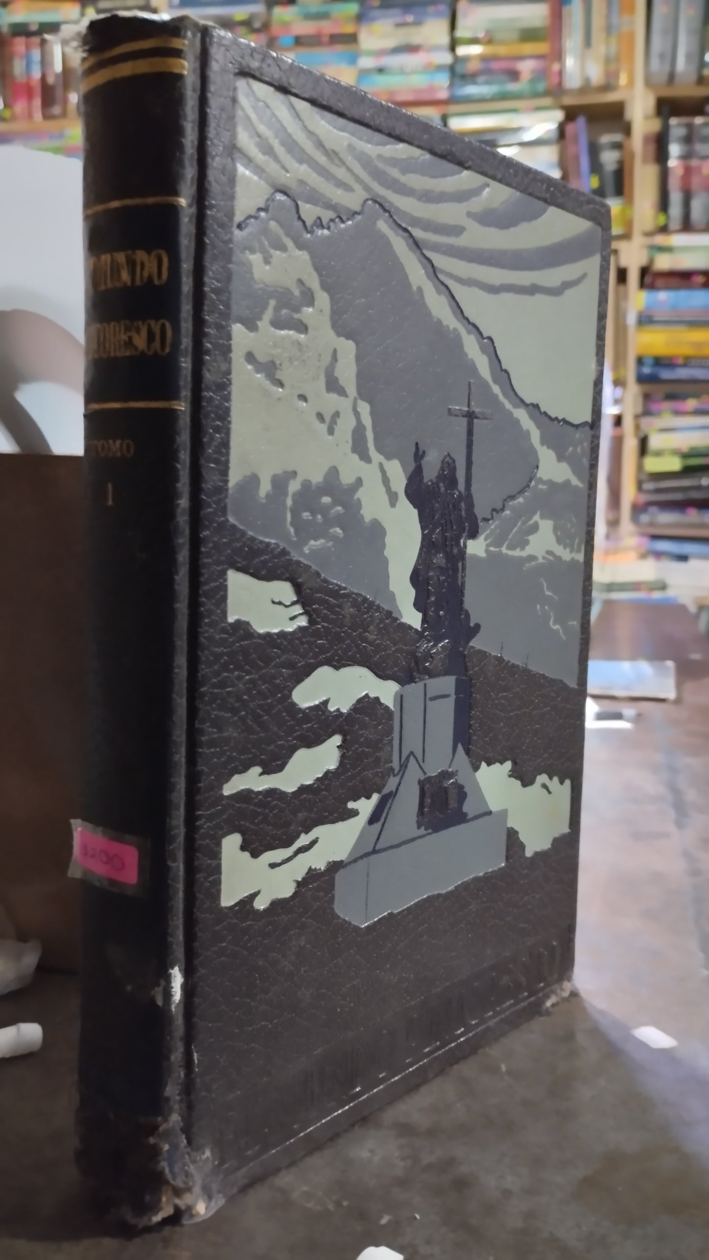 MUNDO PINTORESCO 1 LIBRO USADO HISTORIA ALDAMA