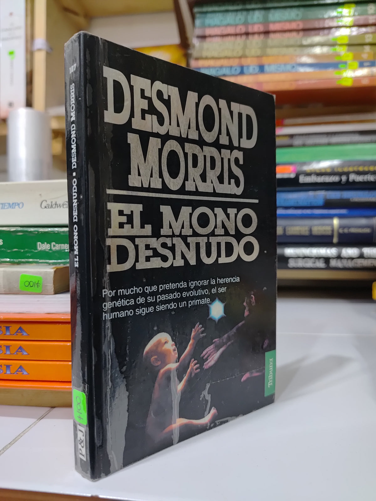EL MONO DESNUDO POR DESMOND MORRIS USADO NOVELAS JUAREZ 507